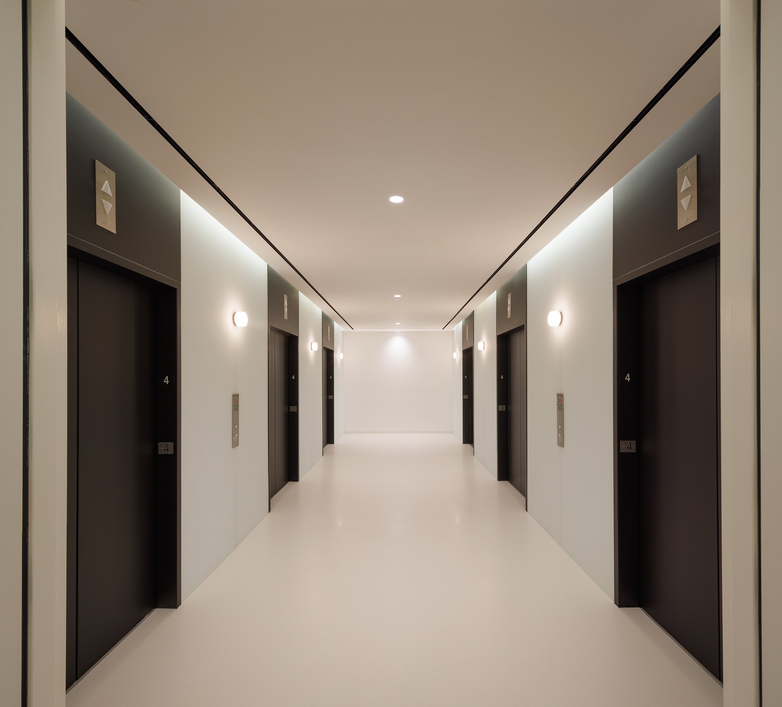 Ⓒ2024 RMS_7M4A7591.JPG