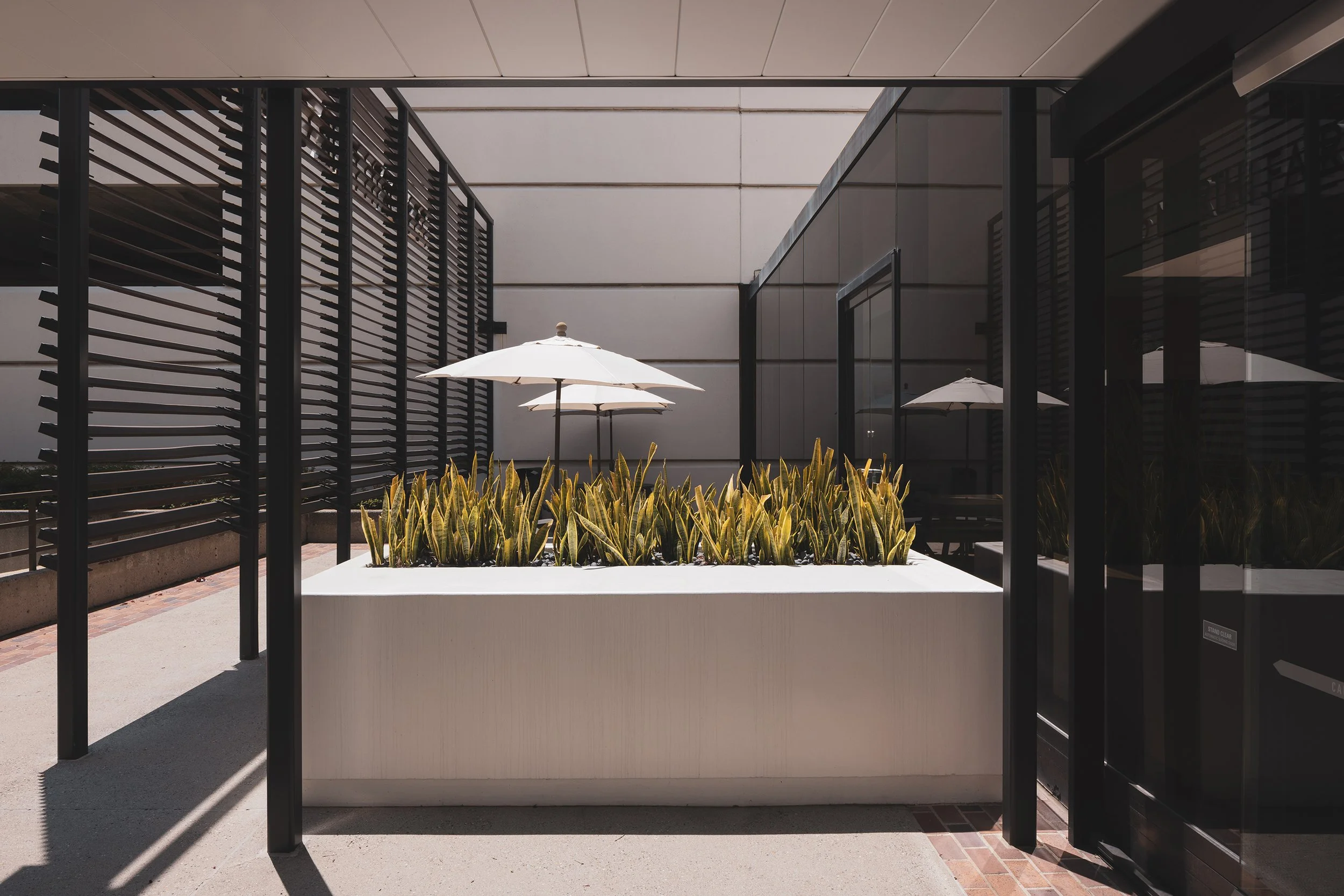 Ⓒ2024 RMS_7M4A7669.JPG