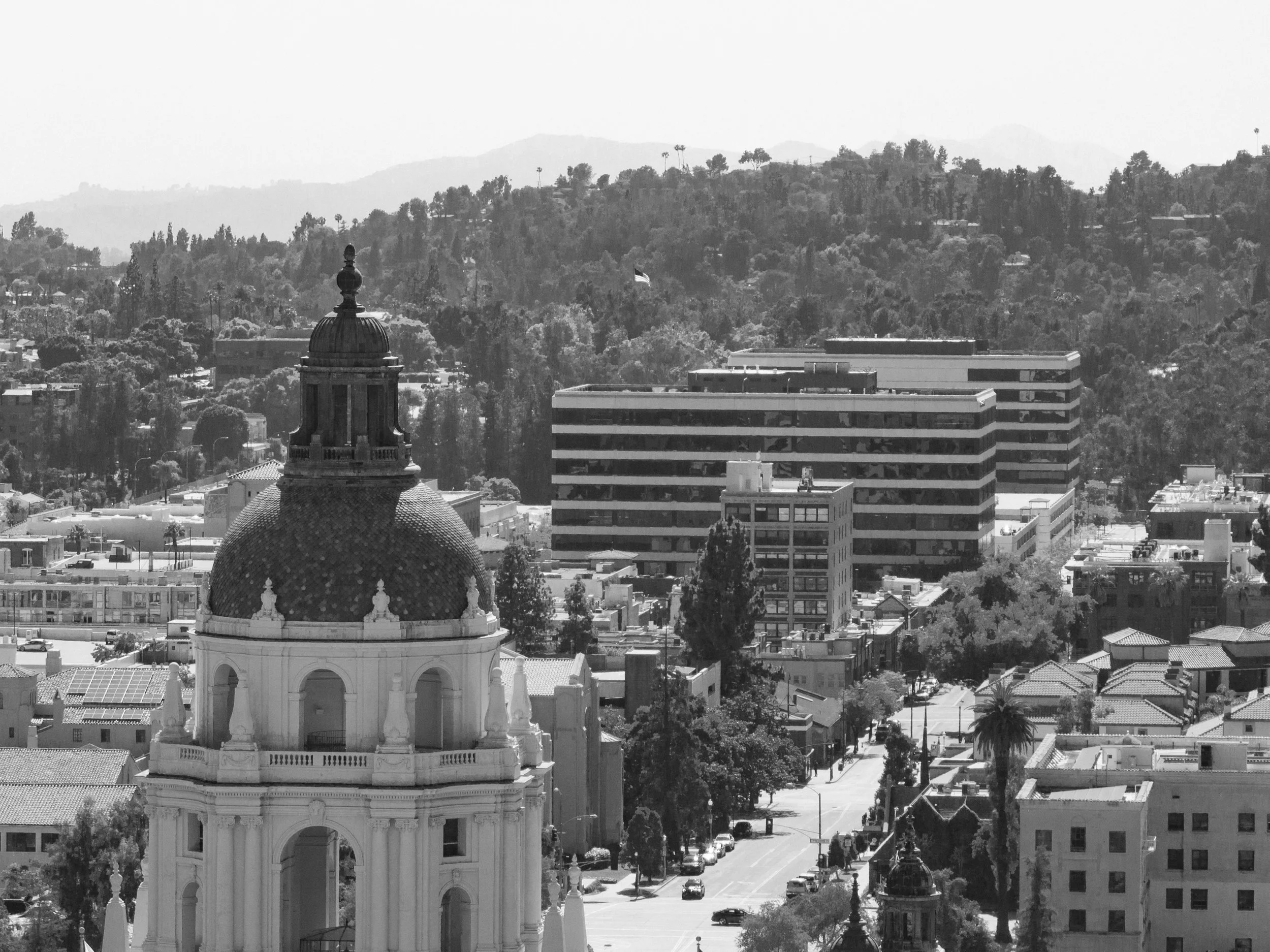 Ⓒ2024 RMS_9049.JPG