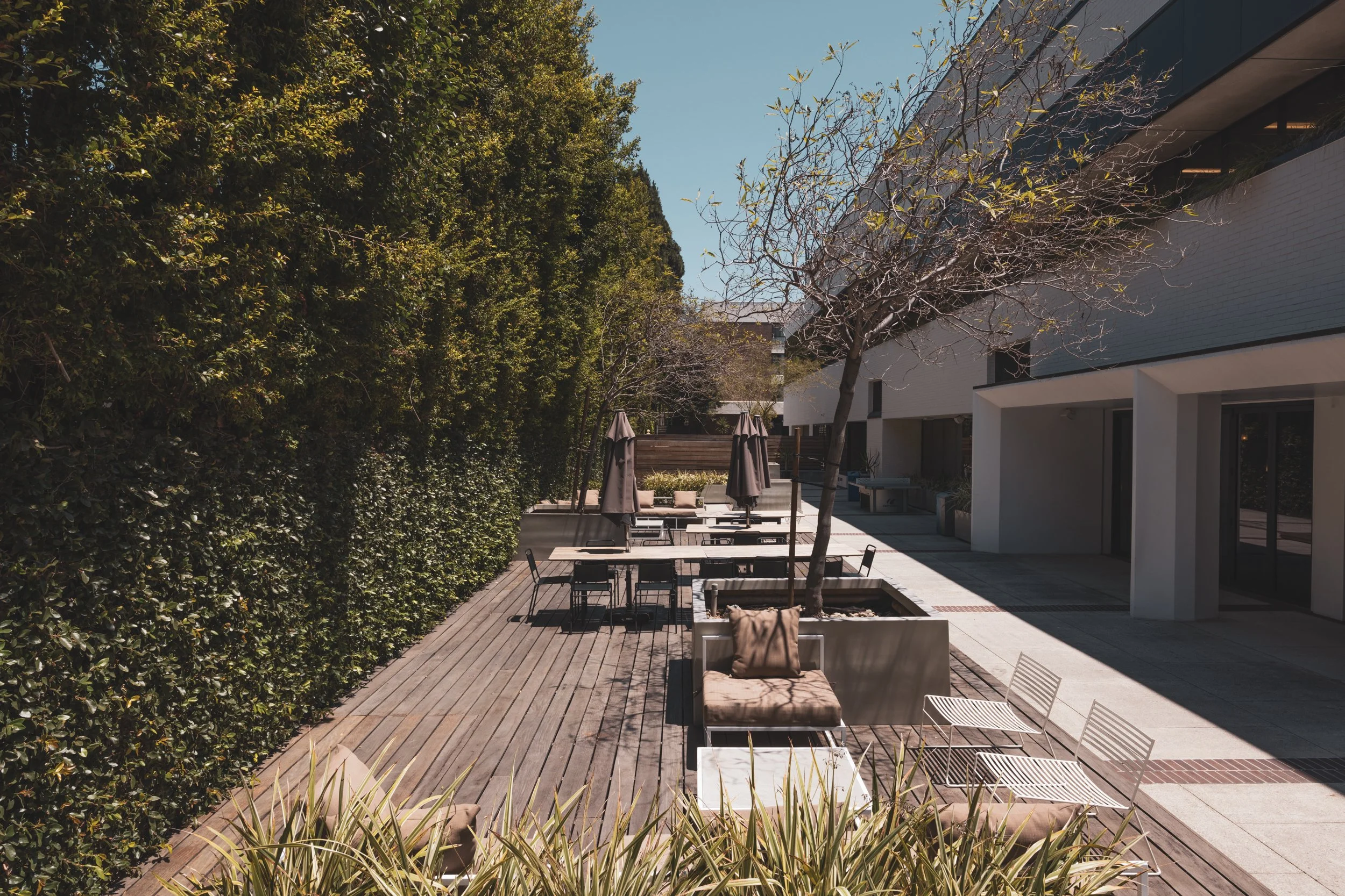 Ⓒ2024 RMS_7M4A8481.JPG