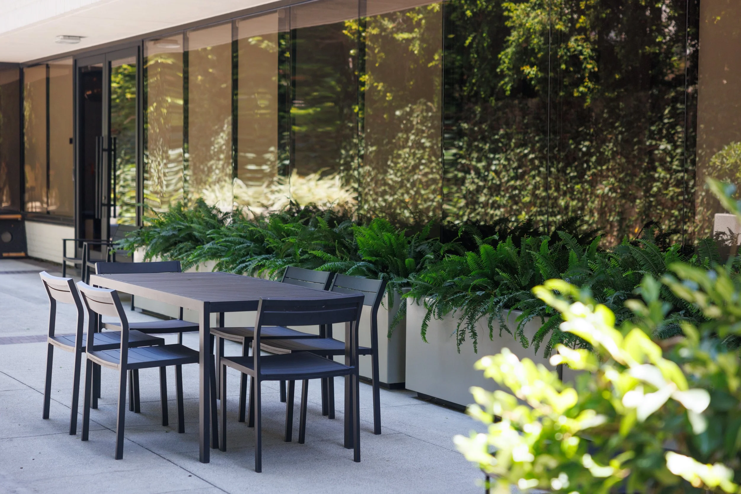 Ⓒ2024 RMS_7M4A8487.JPG