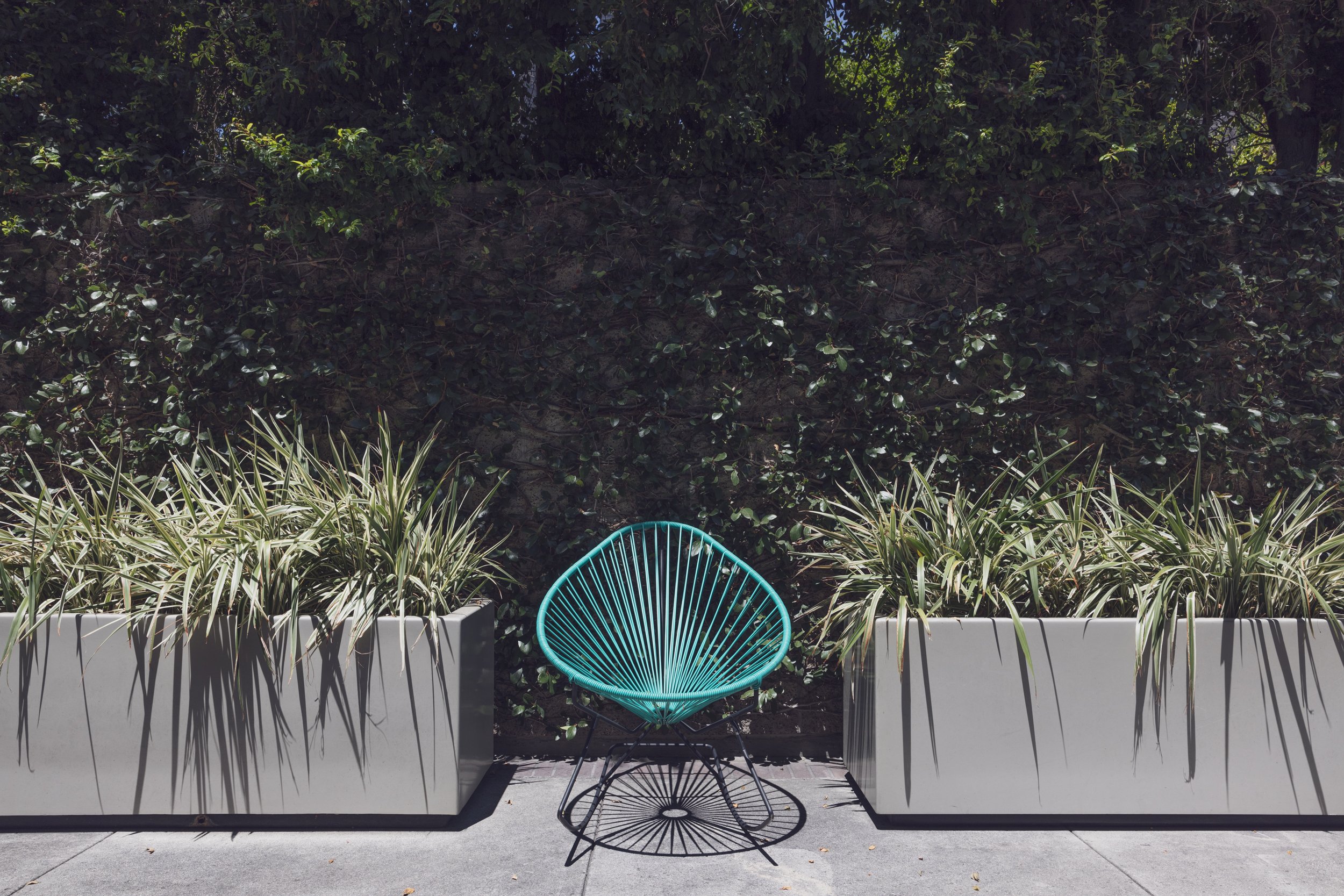 Ⓒ2024 RMS_7M4A8491.JPG