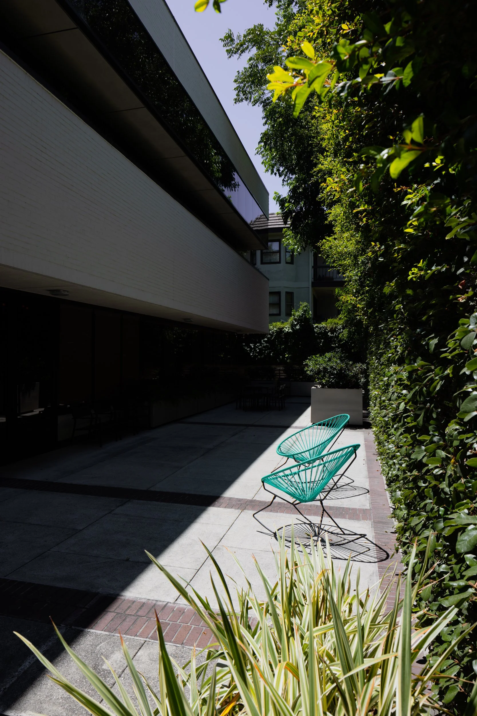 Ⓒ2024 RMS_7M4A8495.JPG