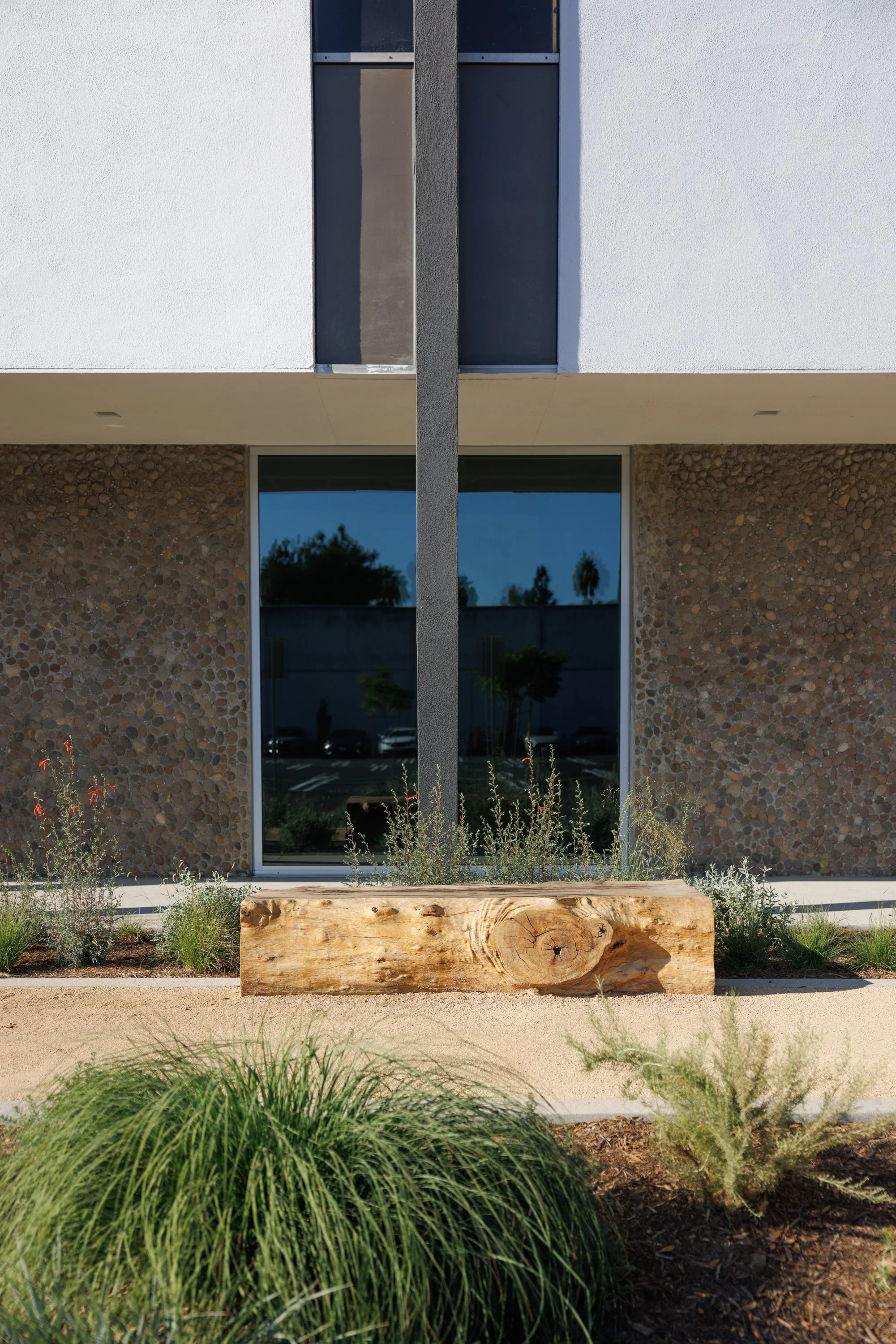 Ⓒ2024 RMS_7M4A9821.JPG