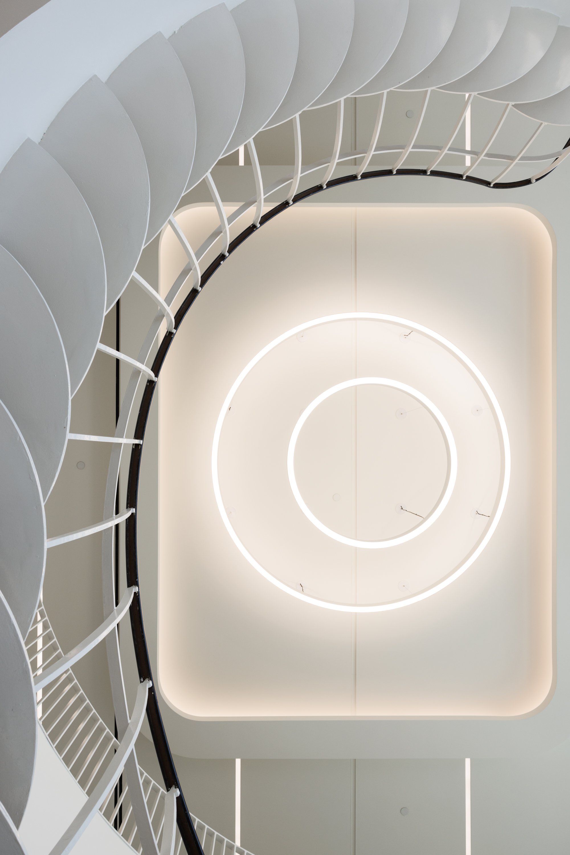 Ⓒ2024 RMS_7M4A9830.JPG