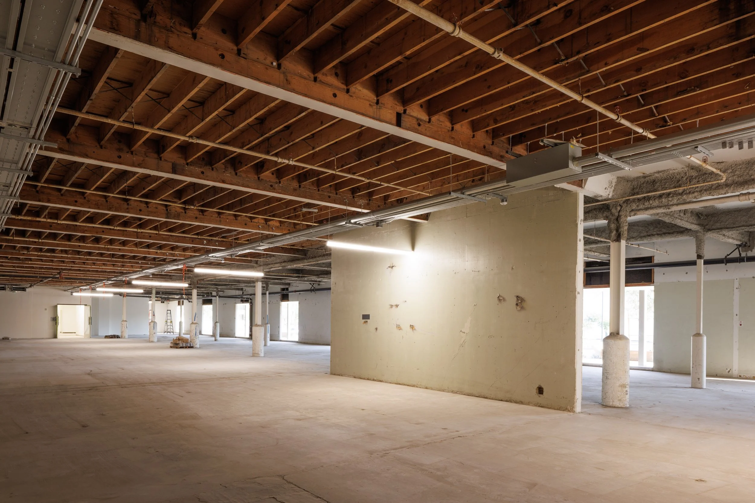 Ⓒ2024 RMS_7M4A9837.JPG