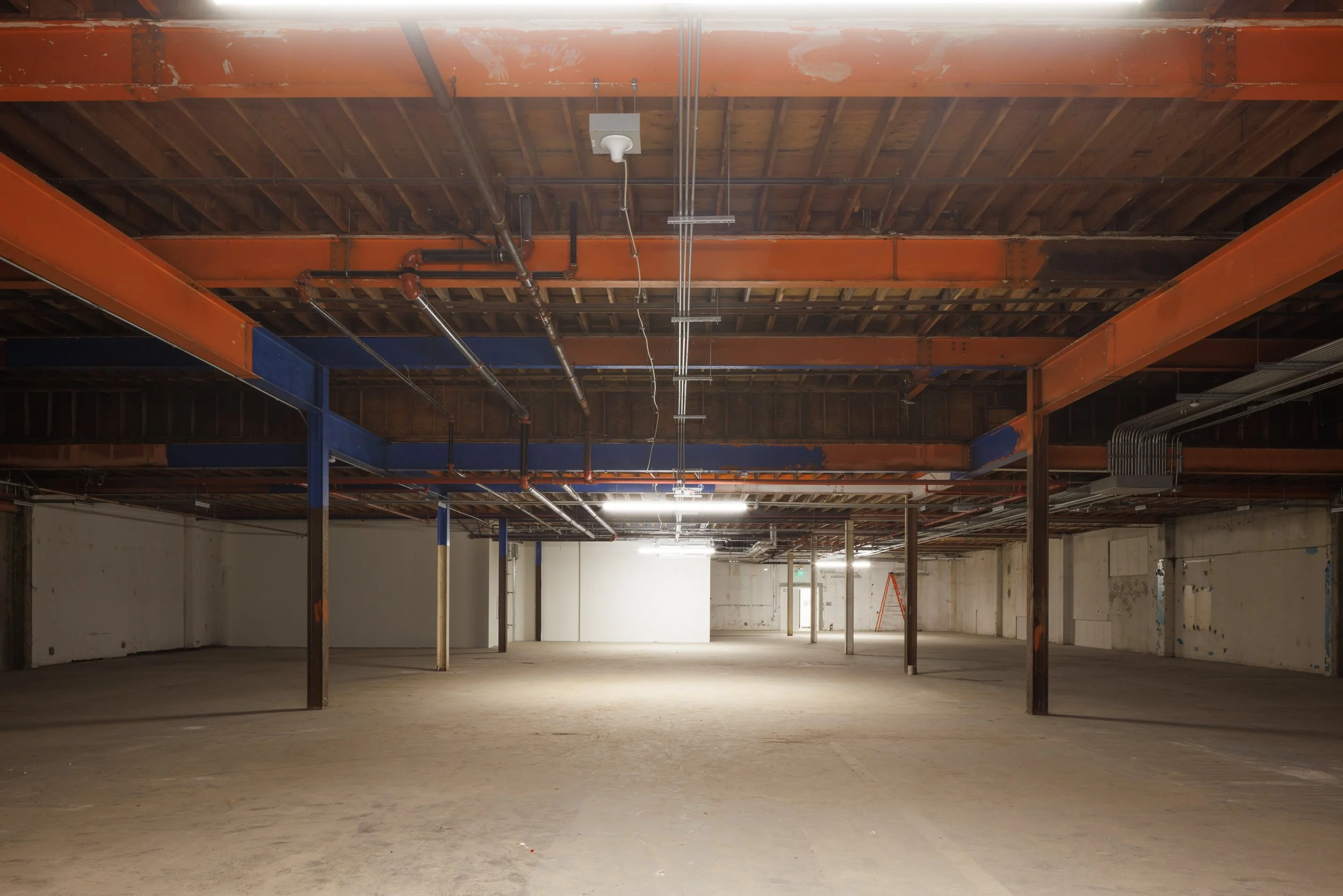 Ⓒ2024 RMS_7M4A9860.JPG