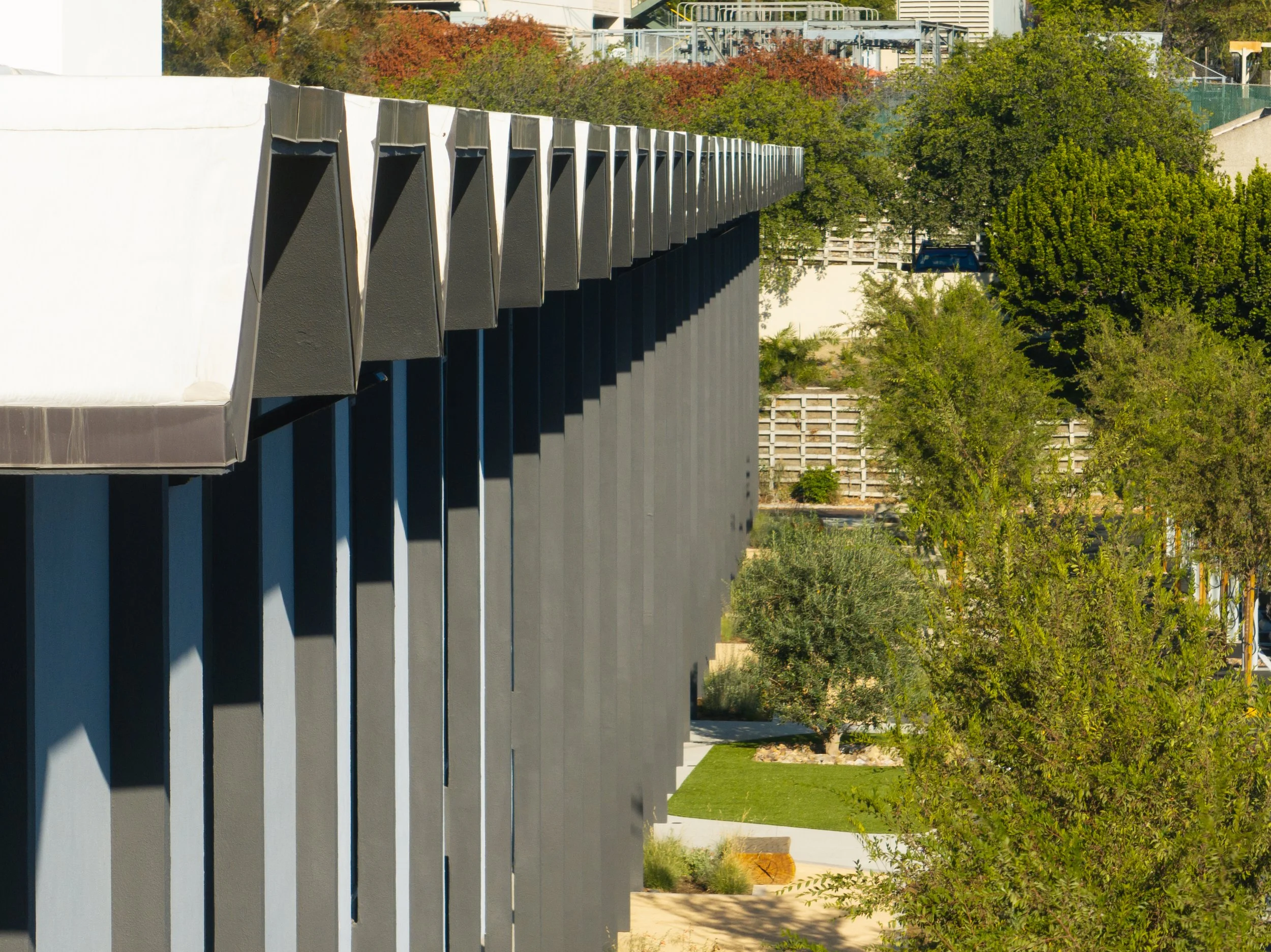 Ⓒ2024 RMS_0353.JPG