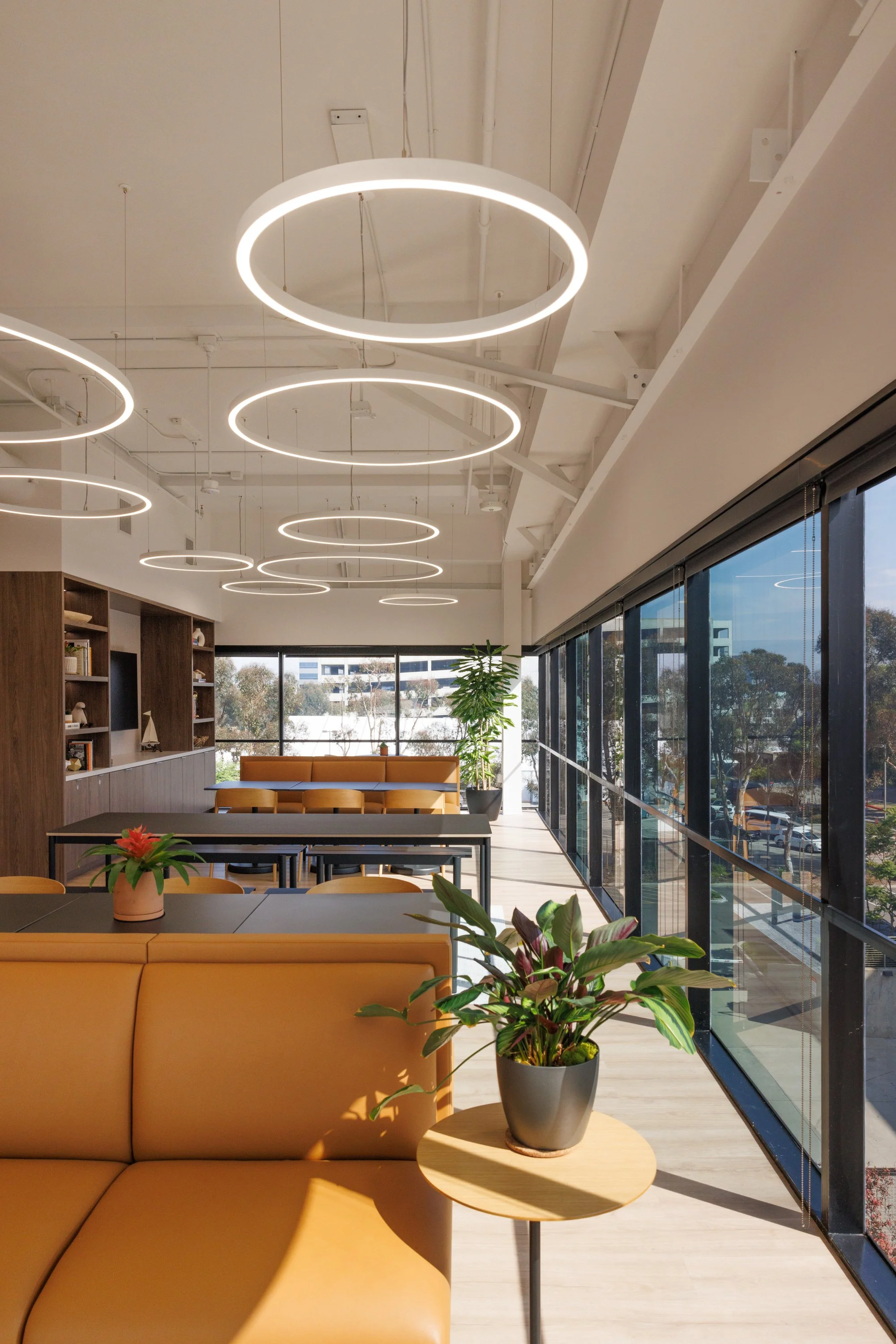 Ⓒ2024 RMS_0452.JPG