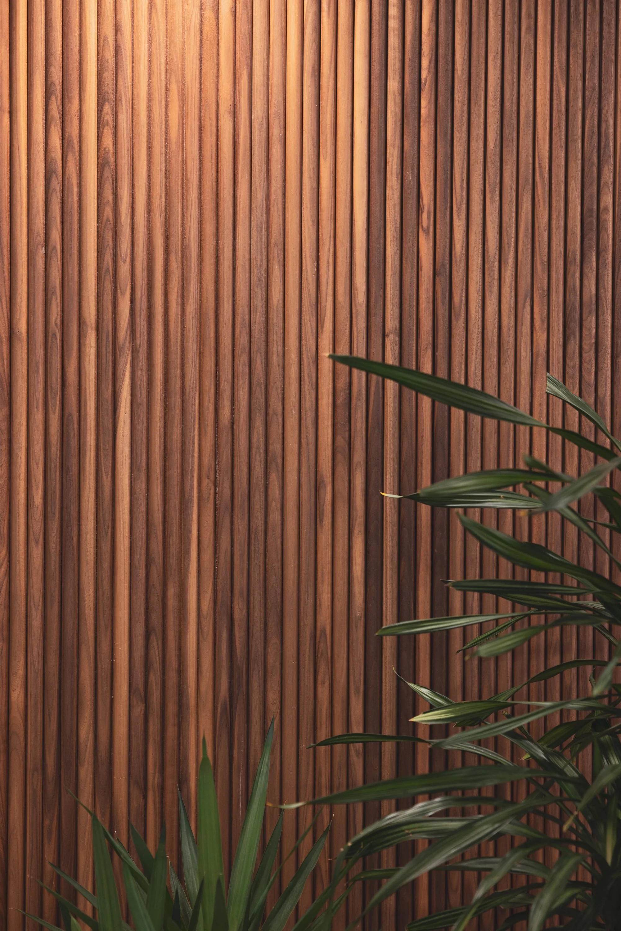 Ⓒ2024 RMS_0460.JPG