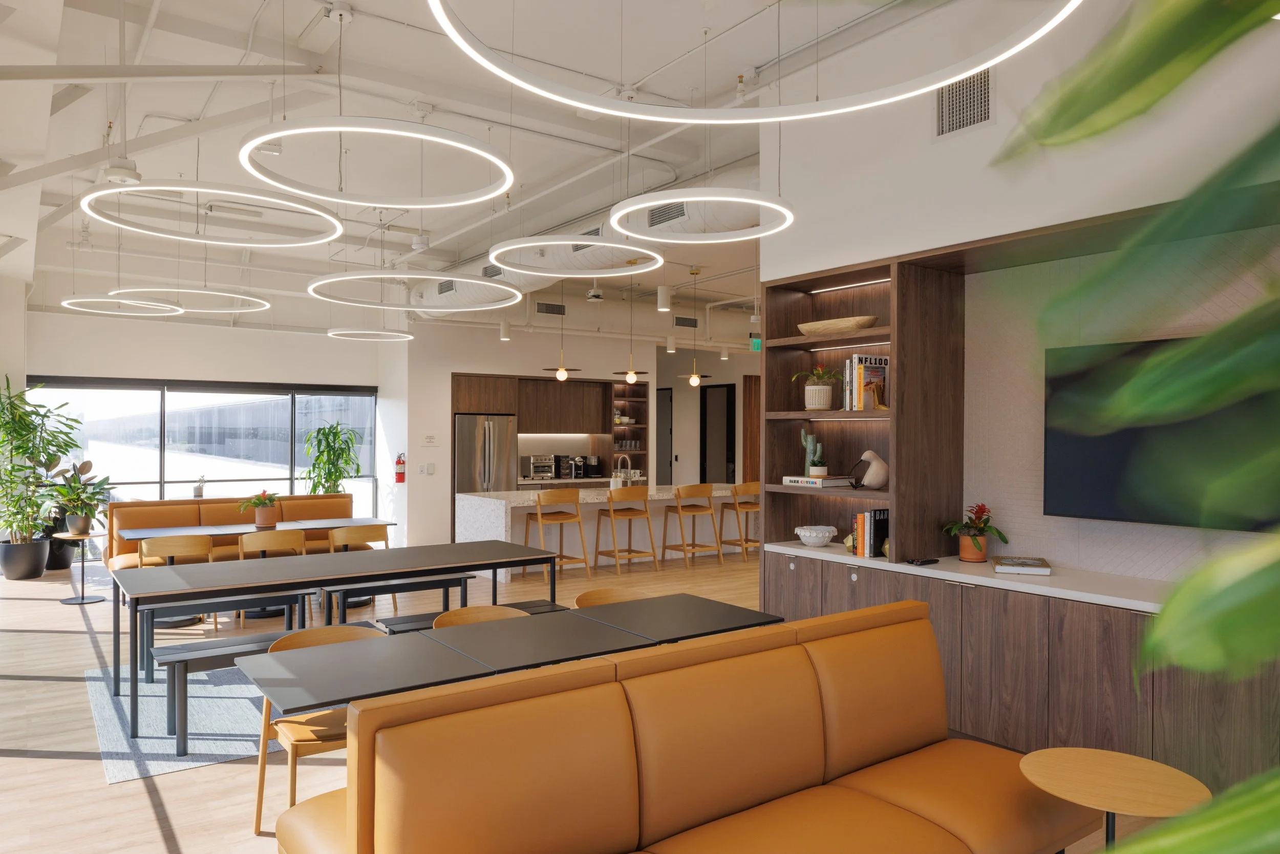 Ⓒ2024 RMS_0474.JPG