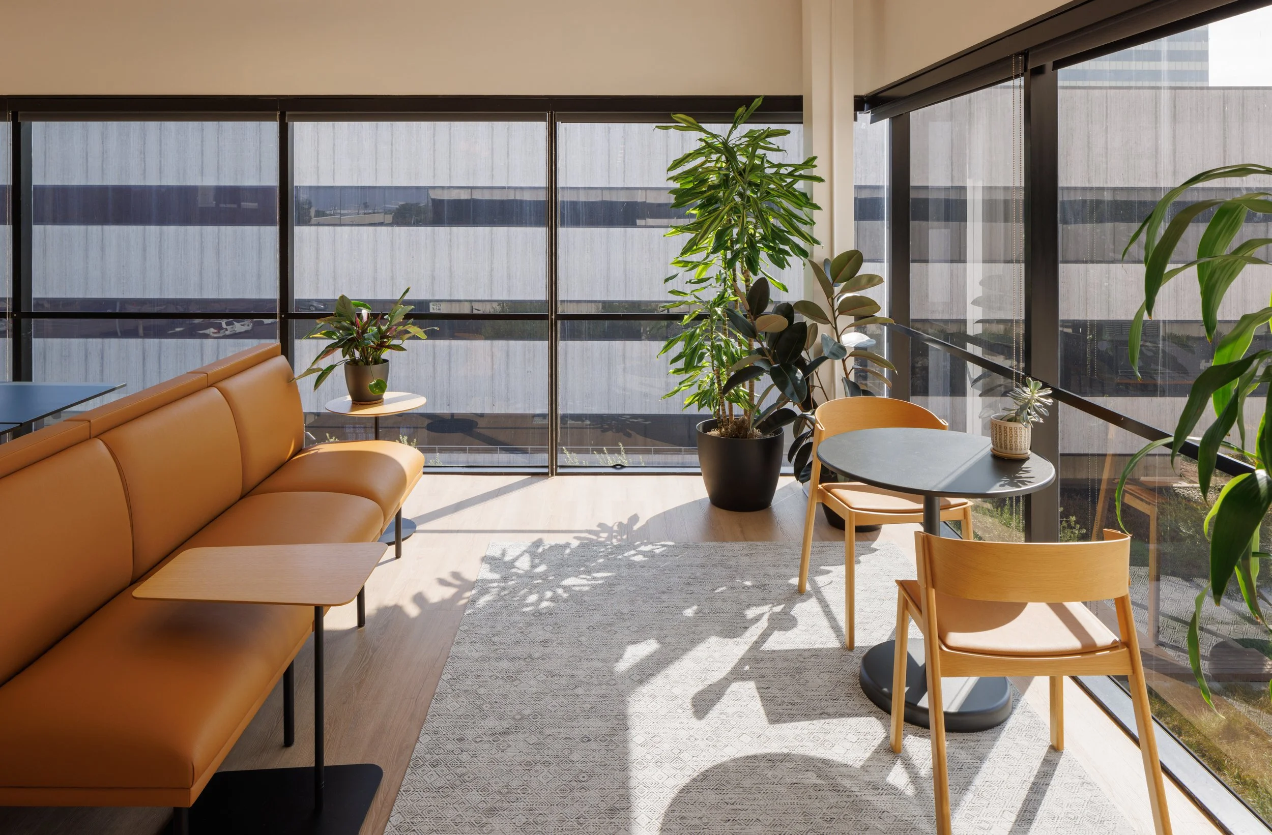 Ⓒ2024 RMS_0481.JPG