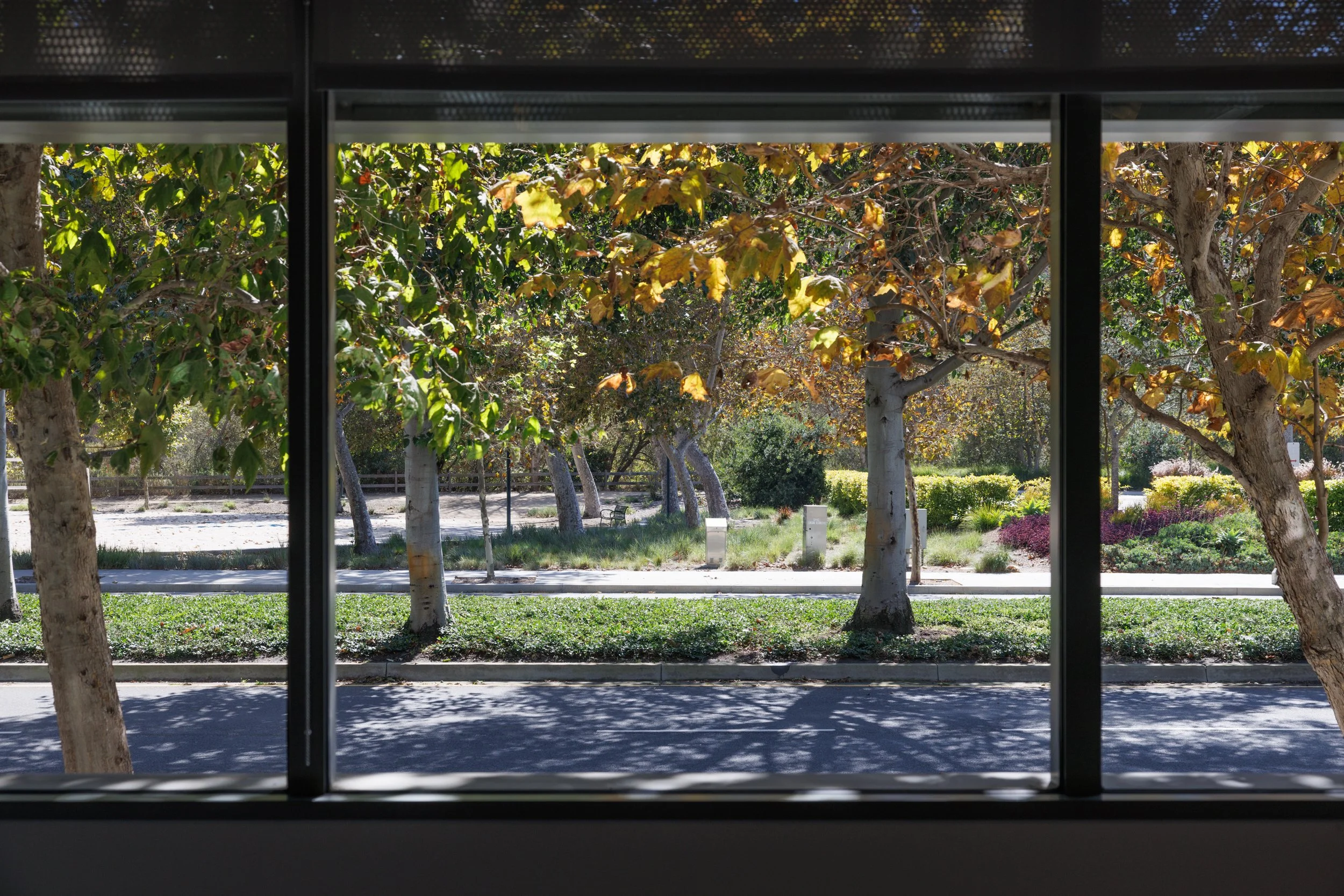 Ⓒ2024 RMS_7M4A0406.JPG