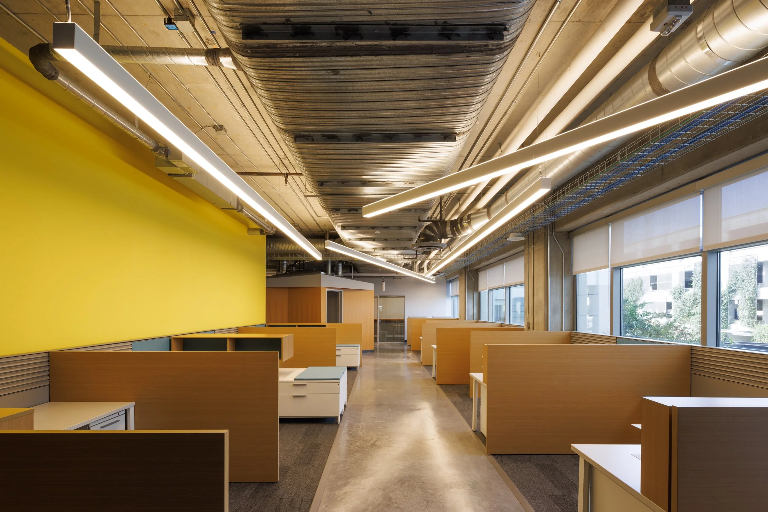 Ⓒ2024 RMS_7M4A0419.JPG