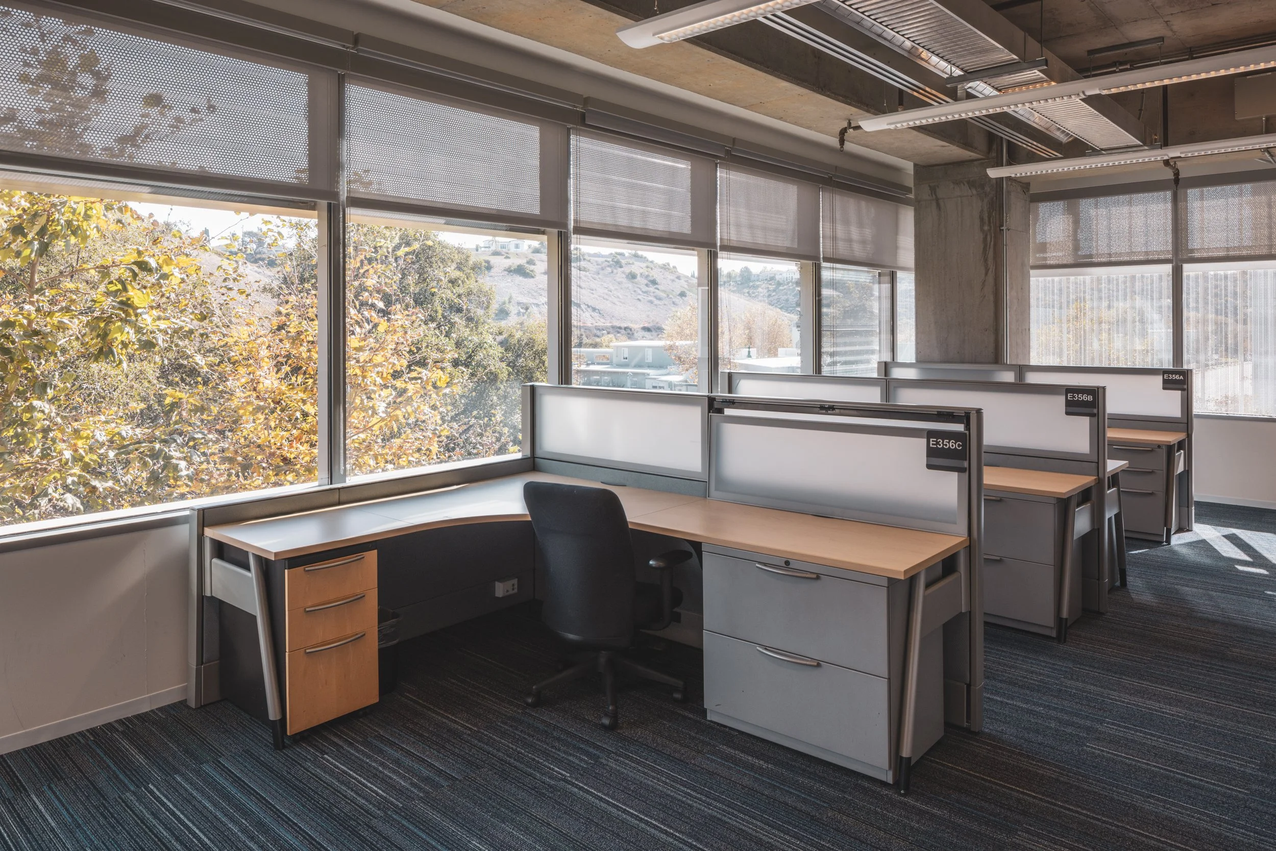 Ⓒ2024 RMS_7M4A0498.JPG