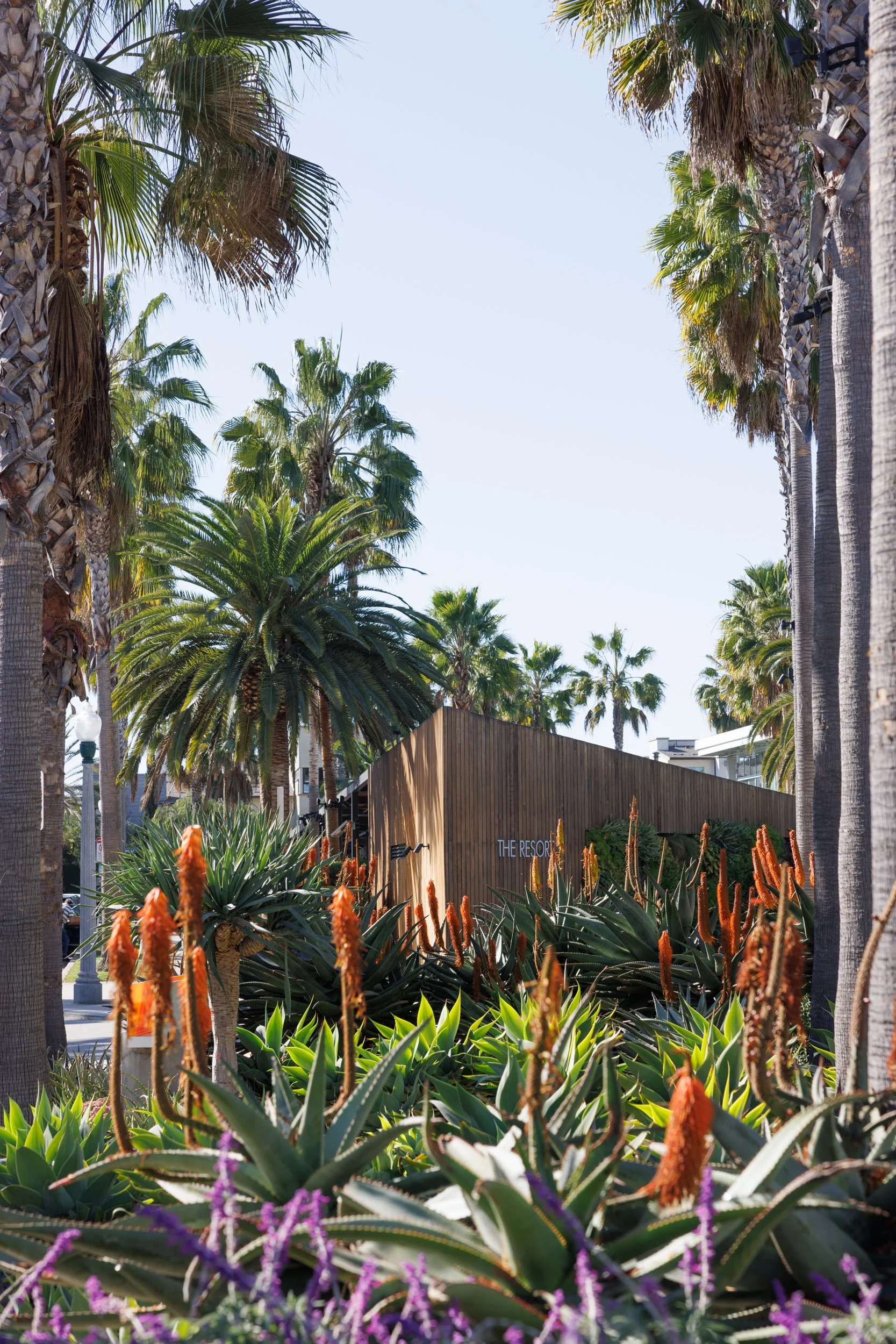 Ⓒ2025 RMS_7M4A1105.jpg