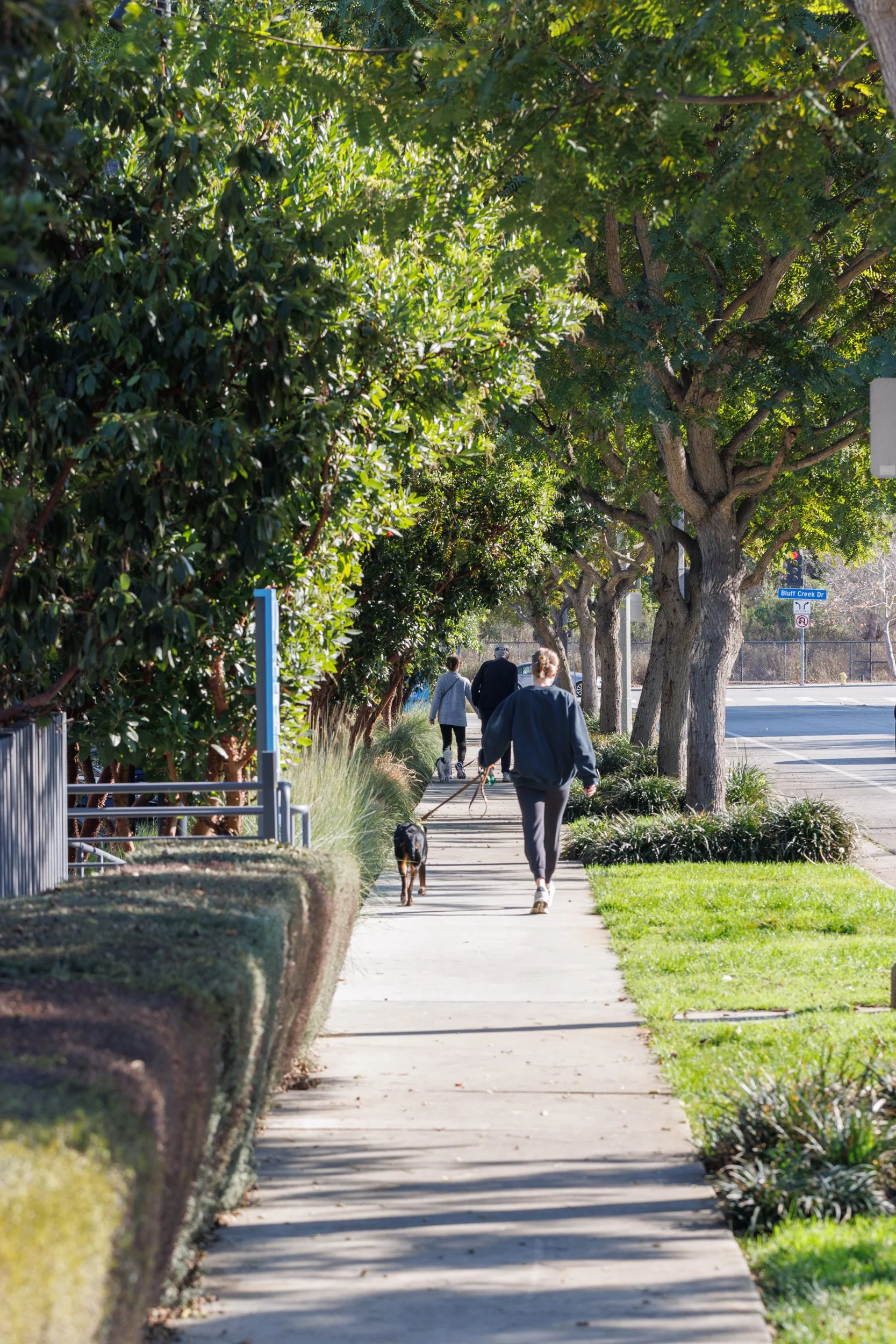 Ⓒ2025 RMS_7M4A1432.jpg