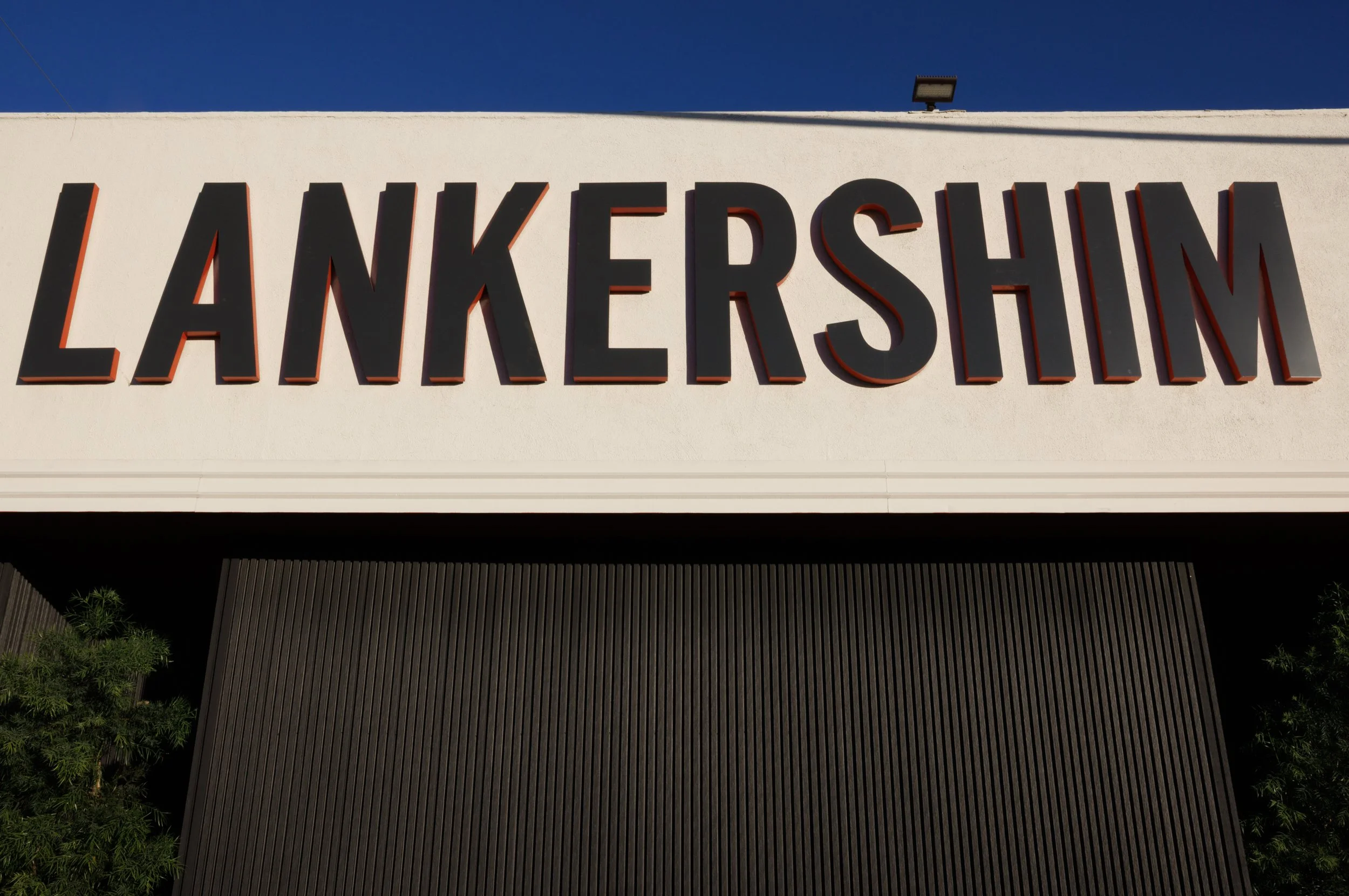 Ⓒ2025 RMS_7M4A8787.jpg