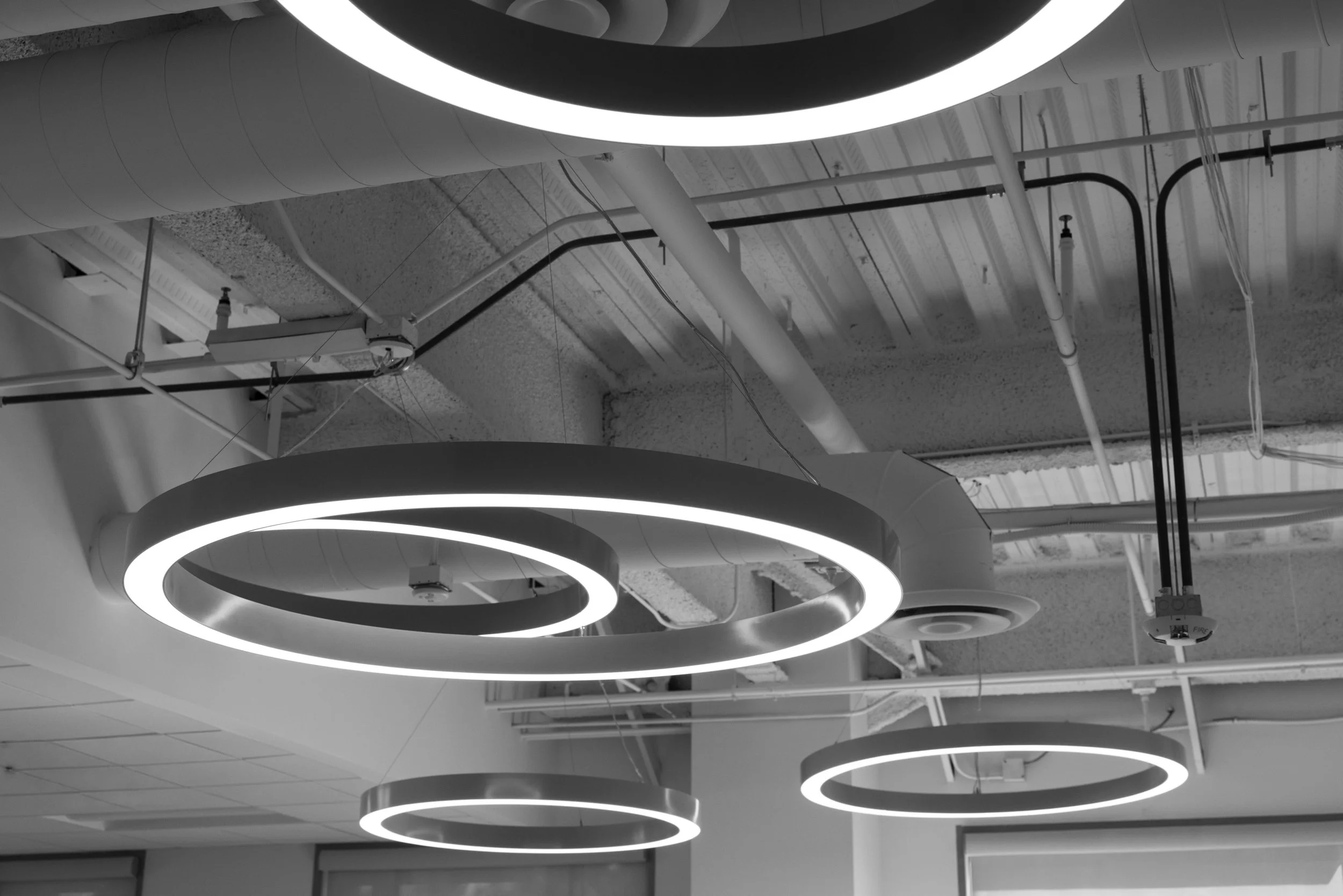 Ⓒ2026 RMS_7M4A9219.jpg