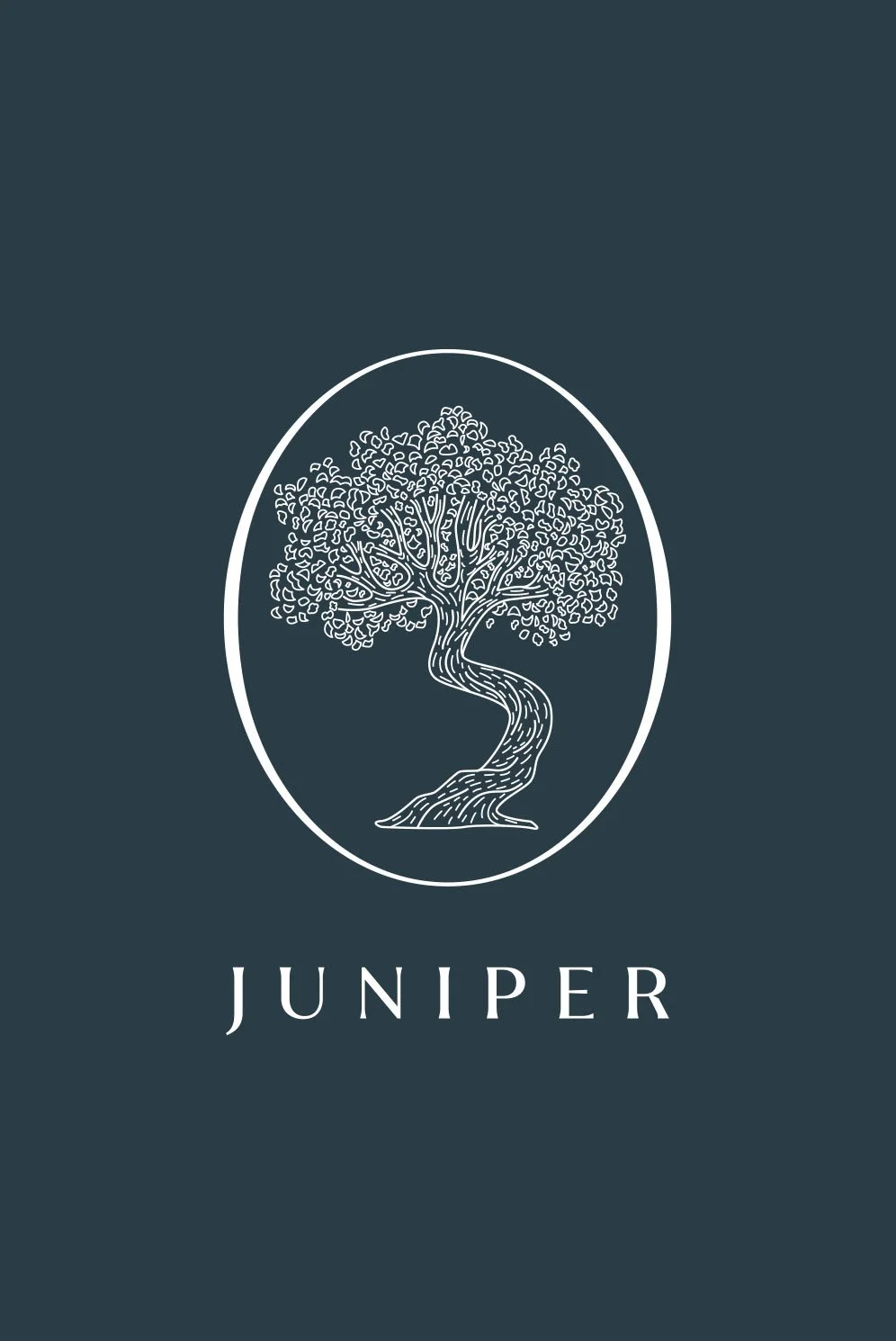JUNIPER-HEADER-R2.jpg