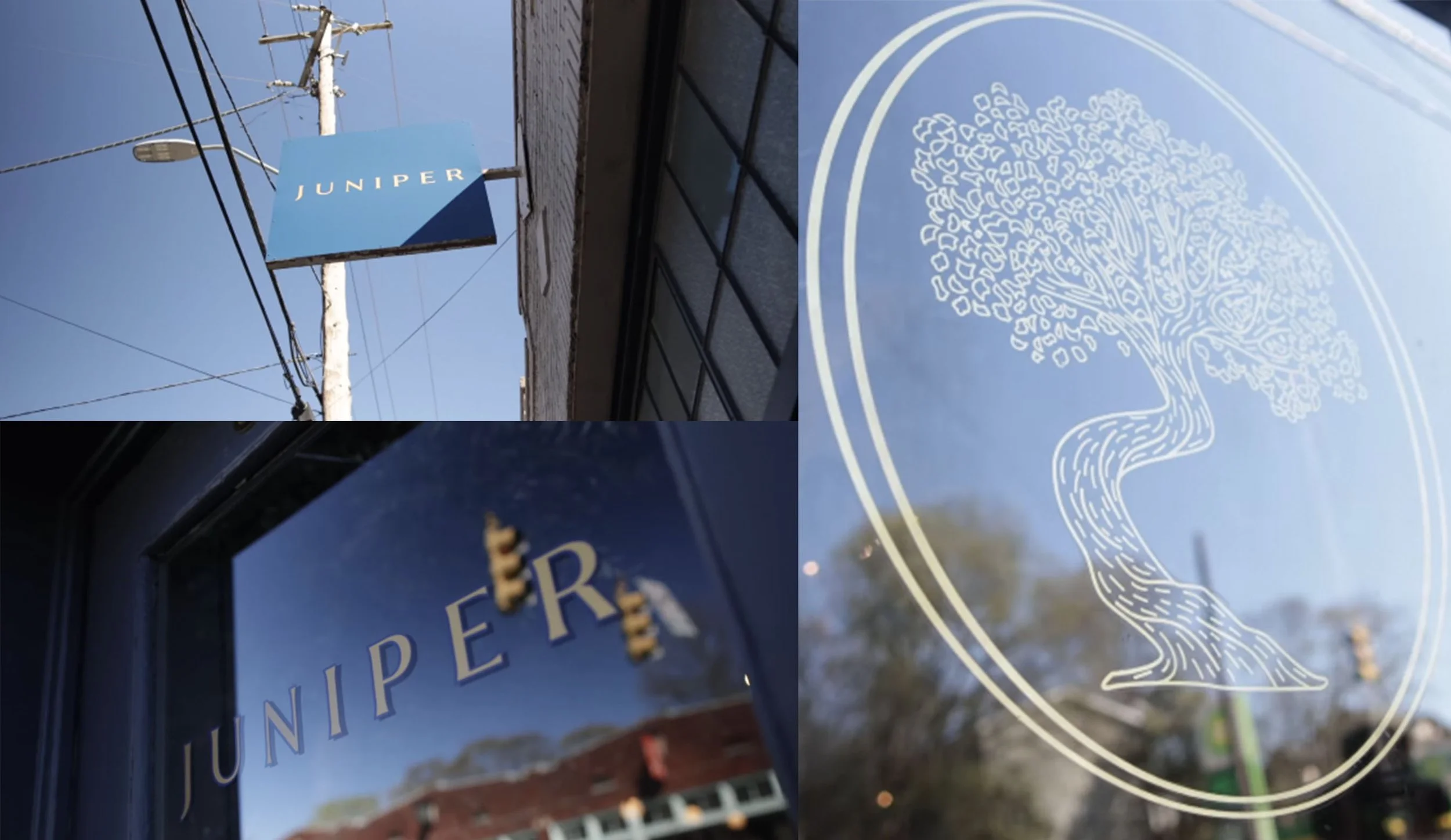 Juniper-CloseUps.jpg