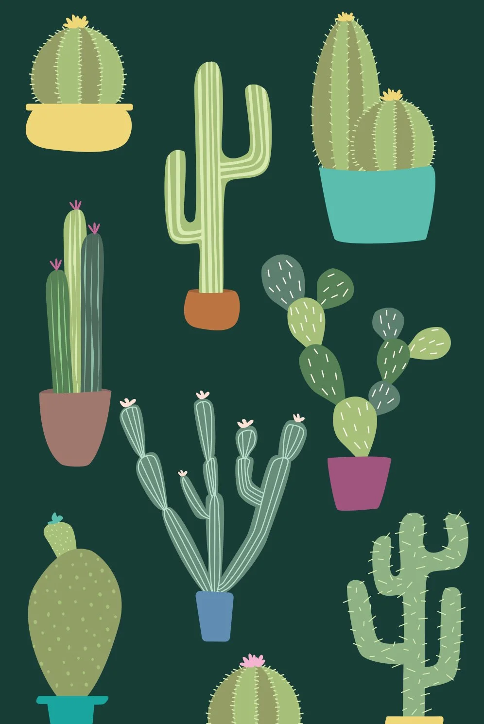 ILLUSTRATIONS-HEADER.jpg