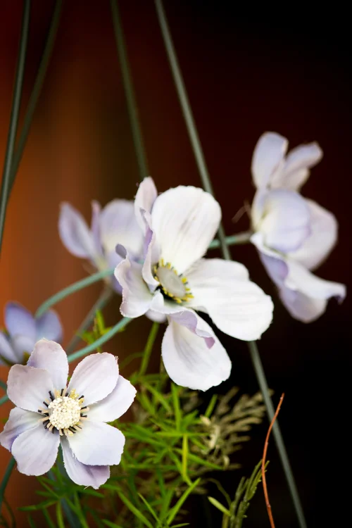 The Benefits of Bitcoin