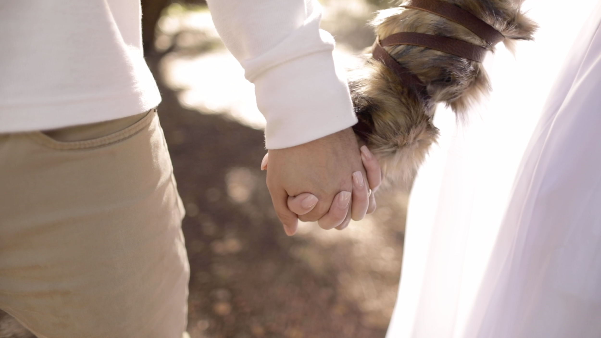 Lauren + Alan (Showcase)
