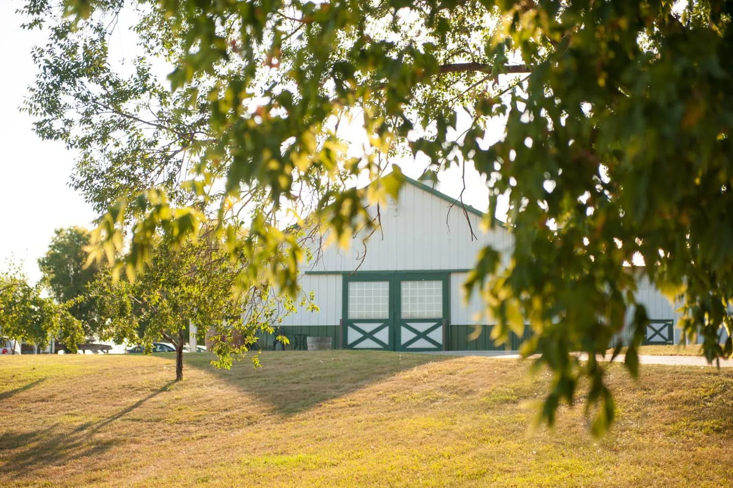 Winery-2.jpg