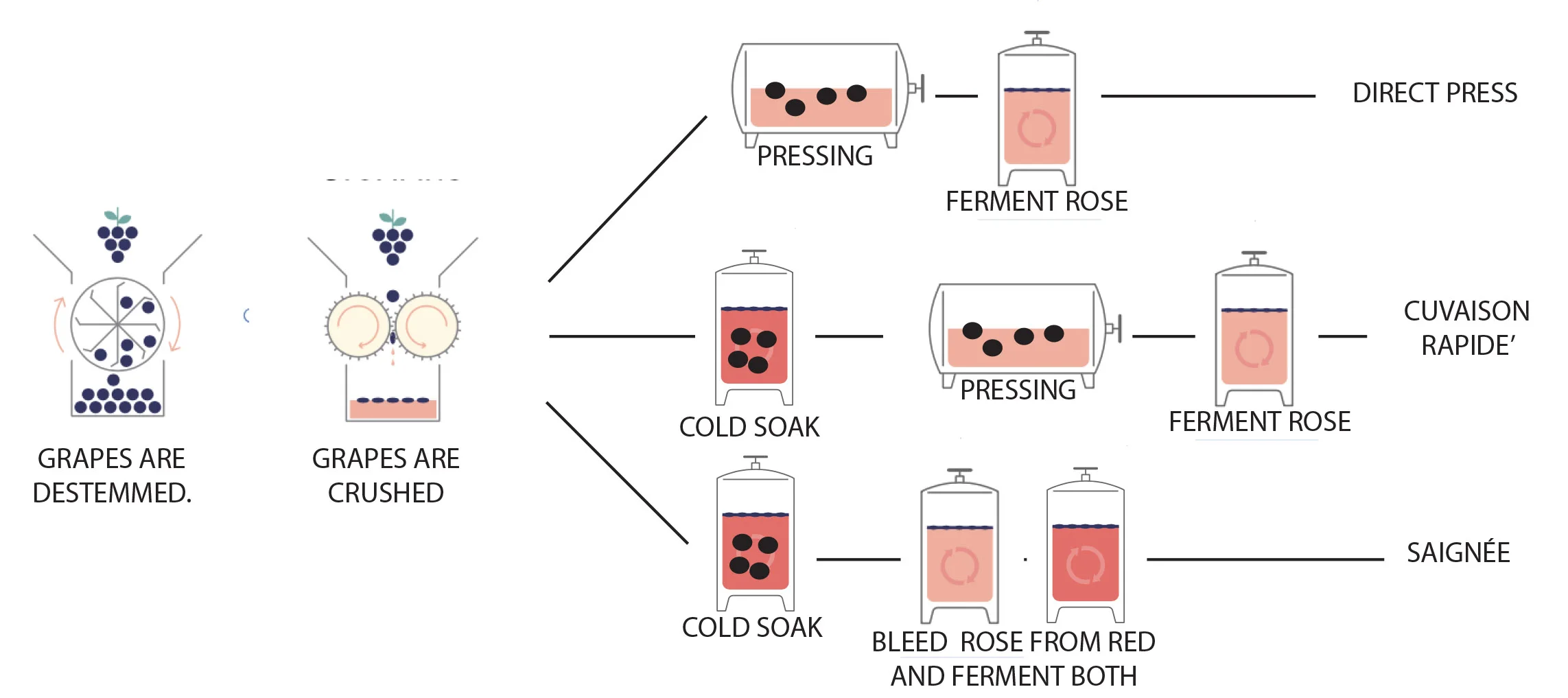 rose process.jpg