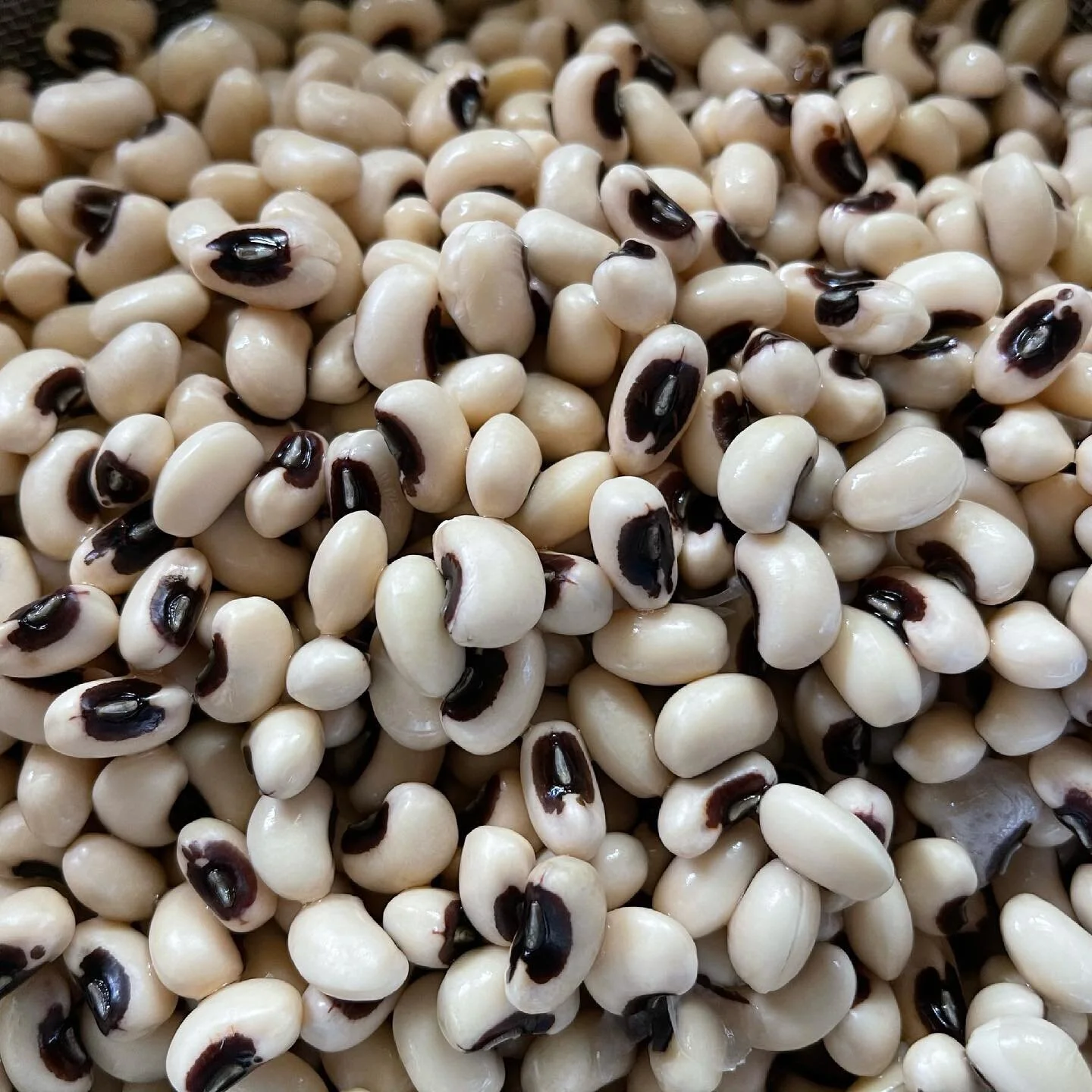 blackeyedpeas.jpeg