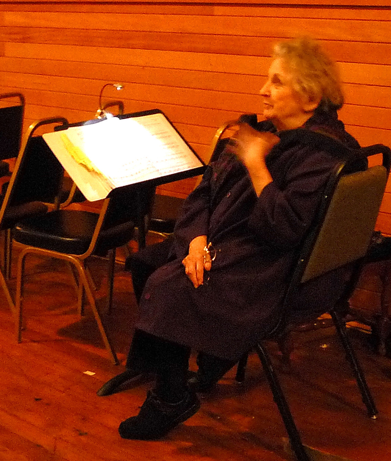 Fiddler on the Roof Director, Barbara Poulshock
