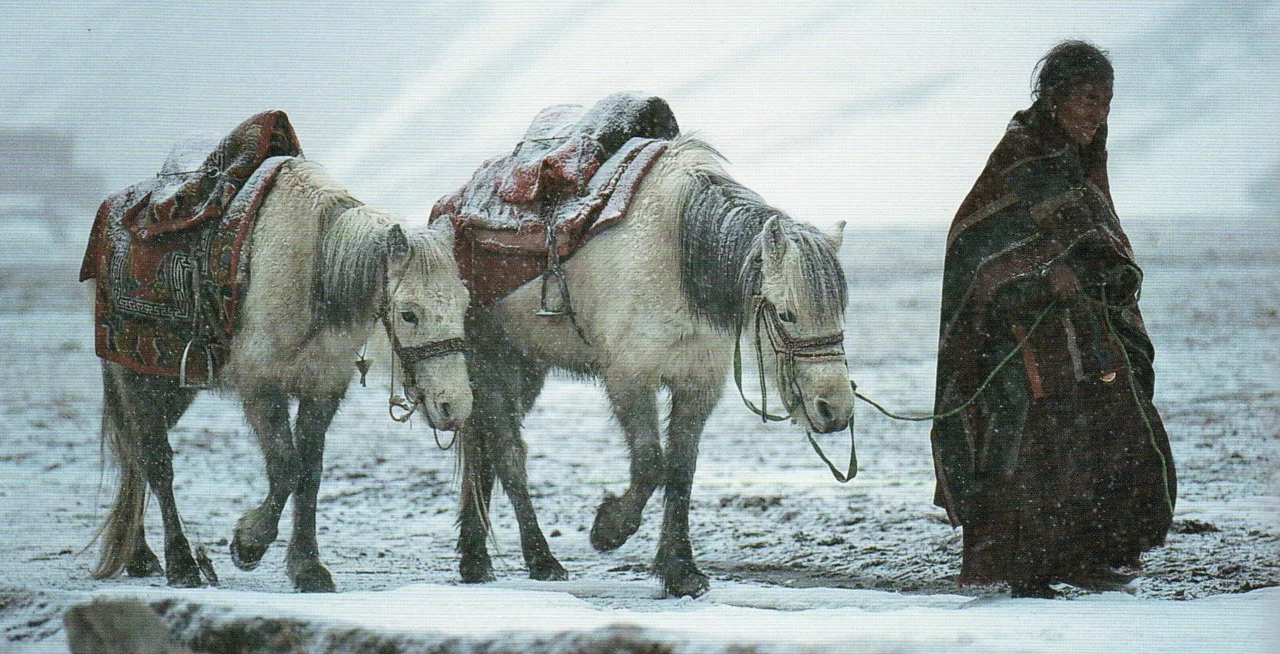 Valli Walking.jpg