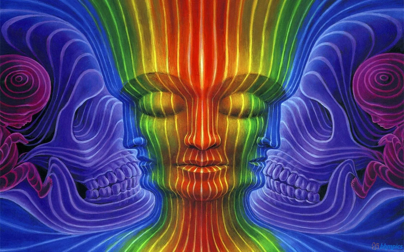 Ayahuasca Is My Therapist - Or Is It?