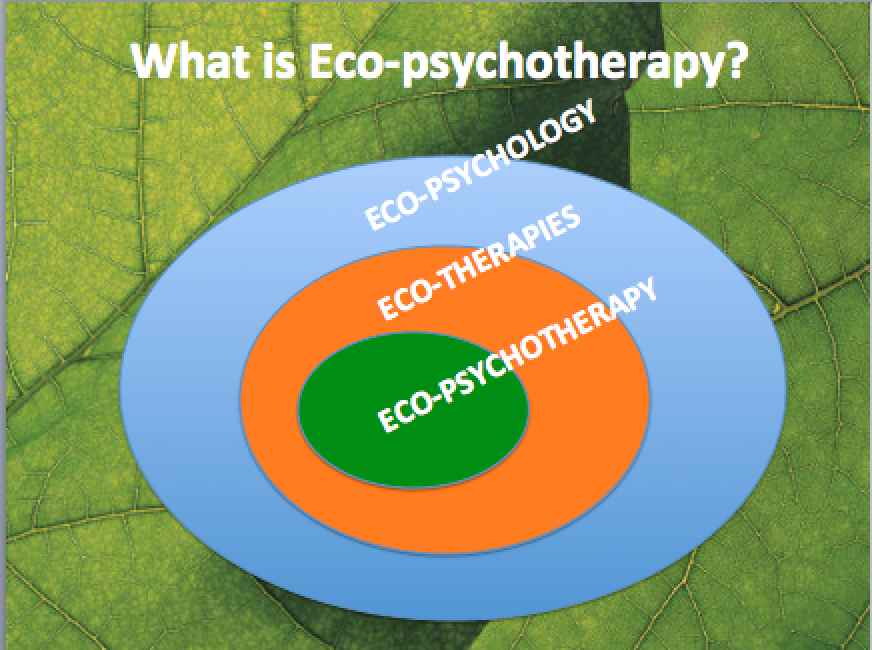 What Is Eco >> Wild Mind Psychotherapy And Counselling What Is Eco What Is Eco >> Wild Mind Psychotherapy And Counselling What Is Eco