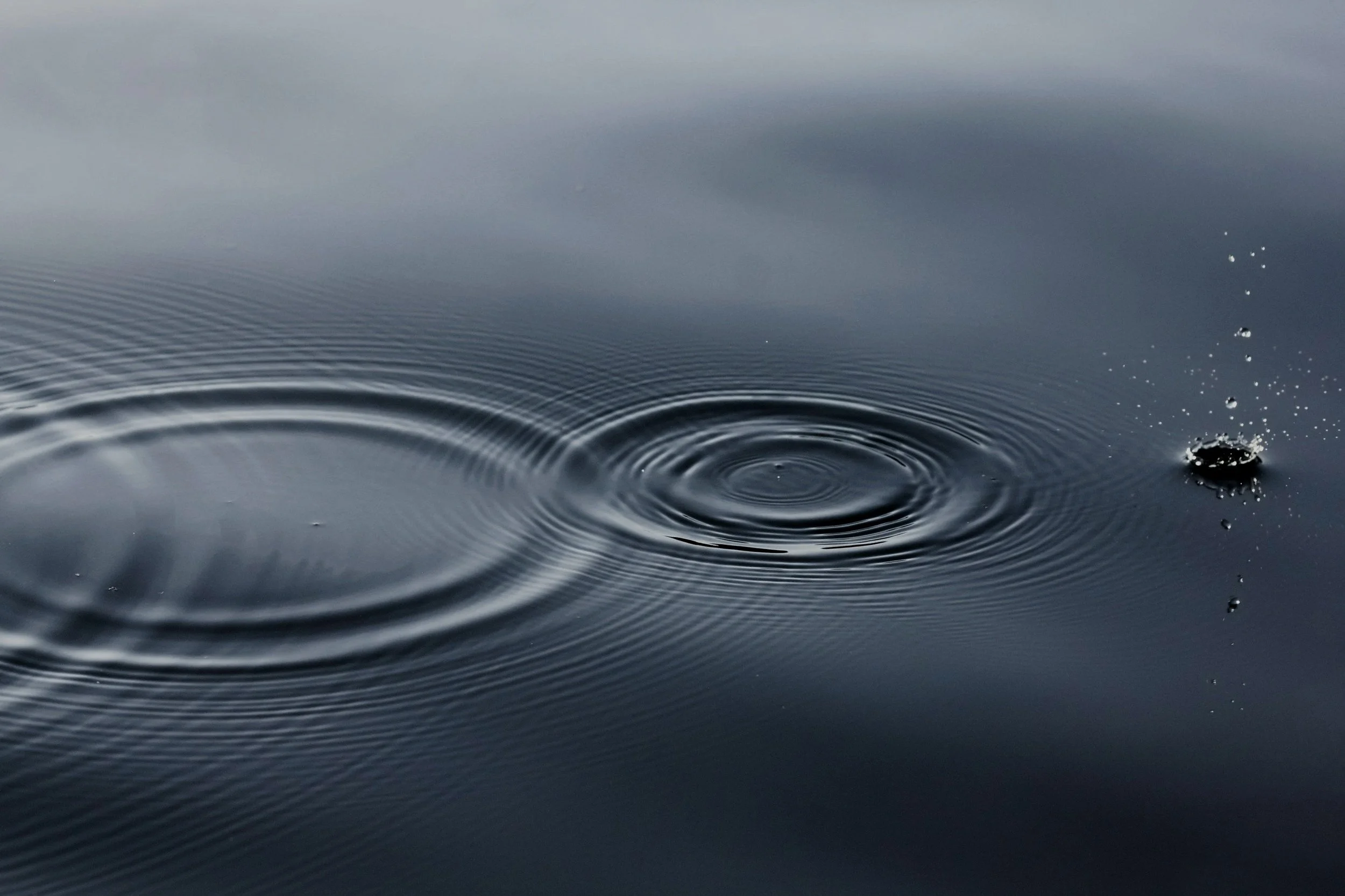 unsplash-image-Q5QspluNZmM.jpg