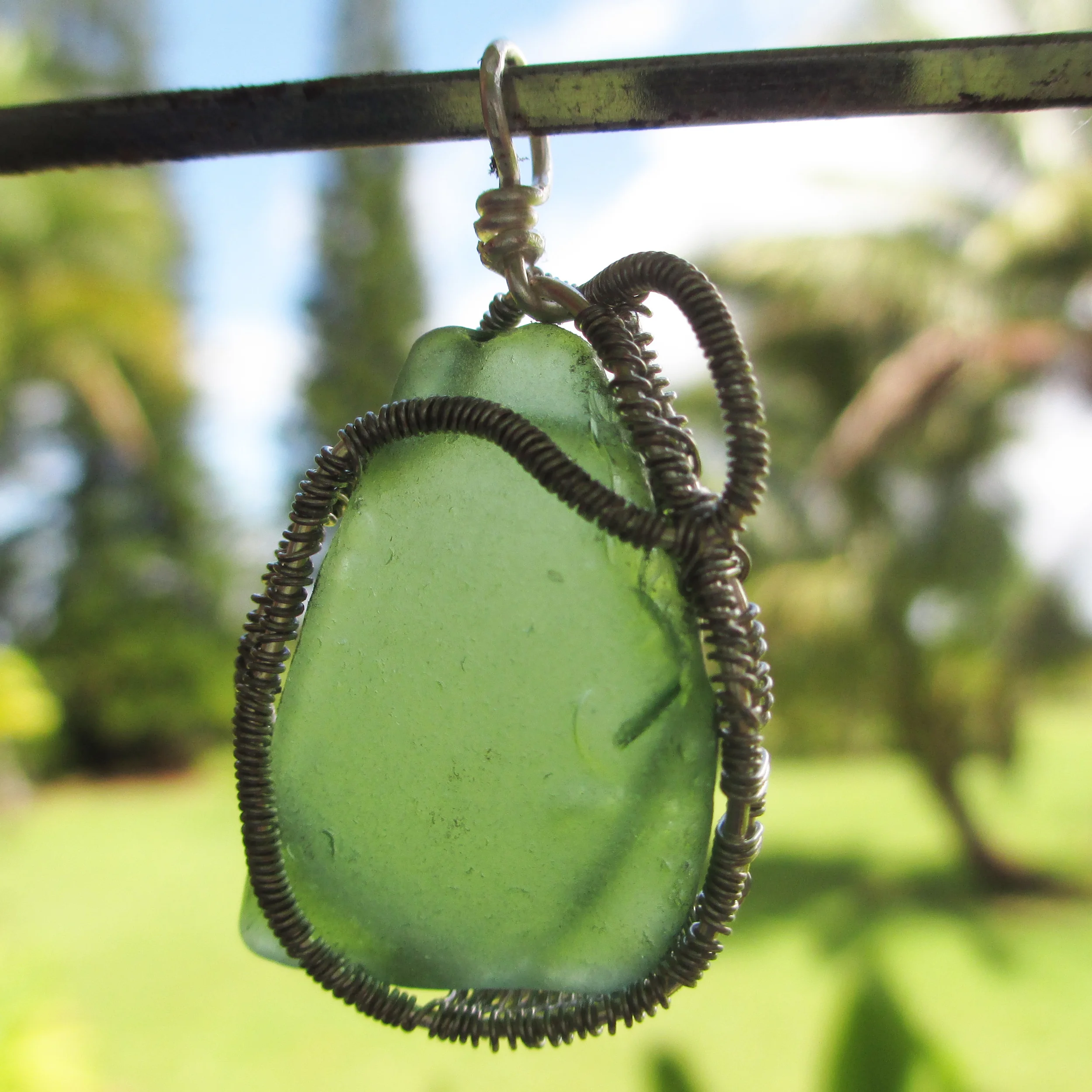 Hanging in the sun