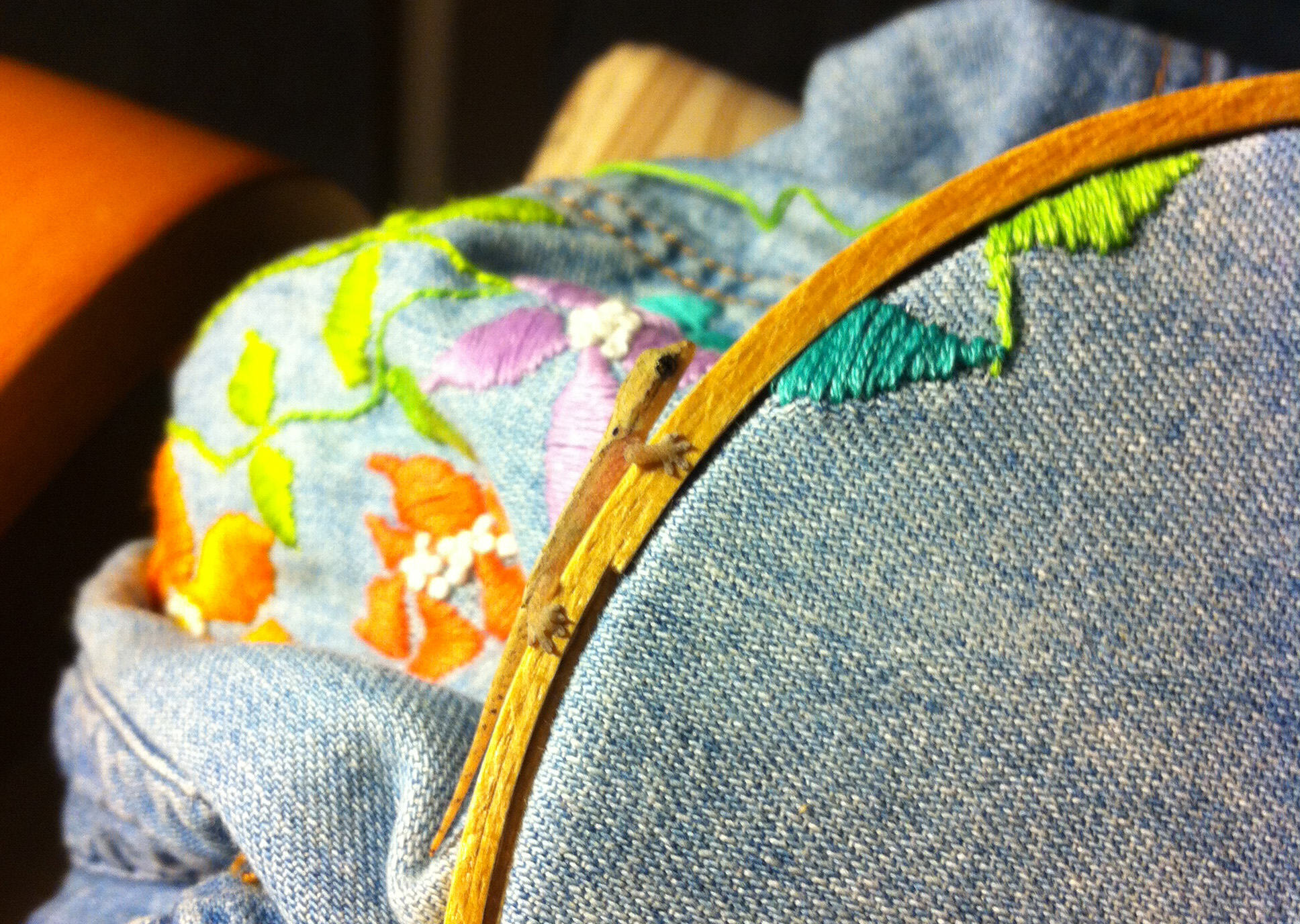 gecko and embrodiery 2.jpg