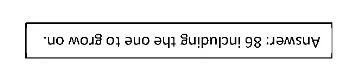 and one1.jpg