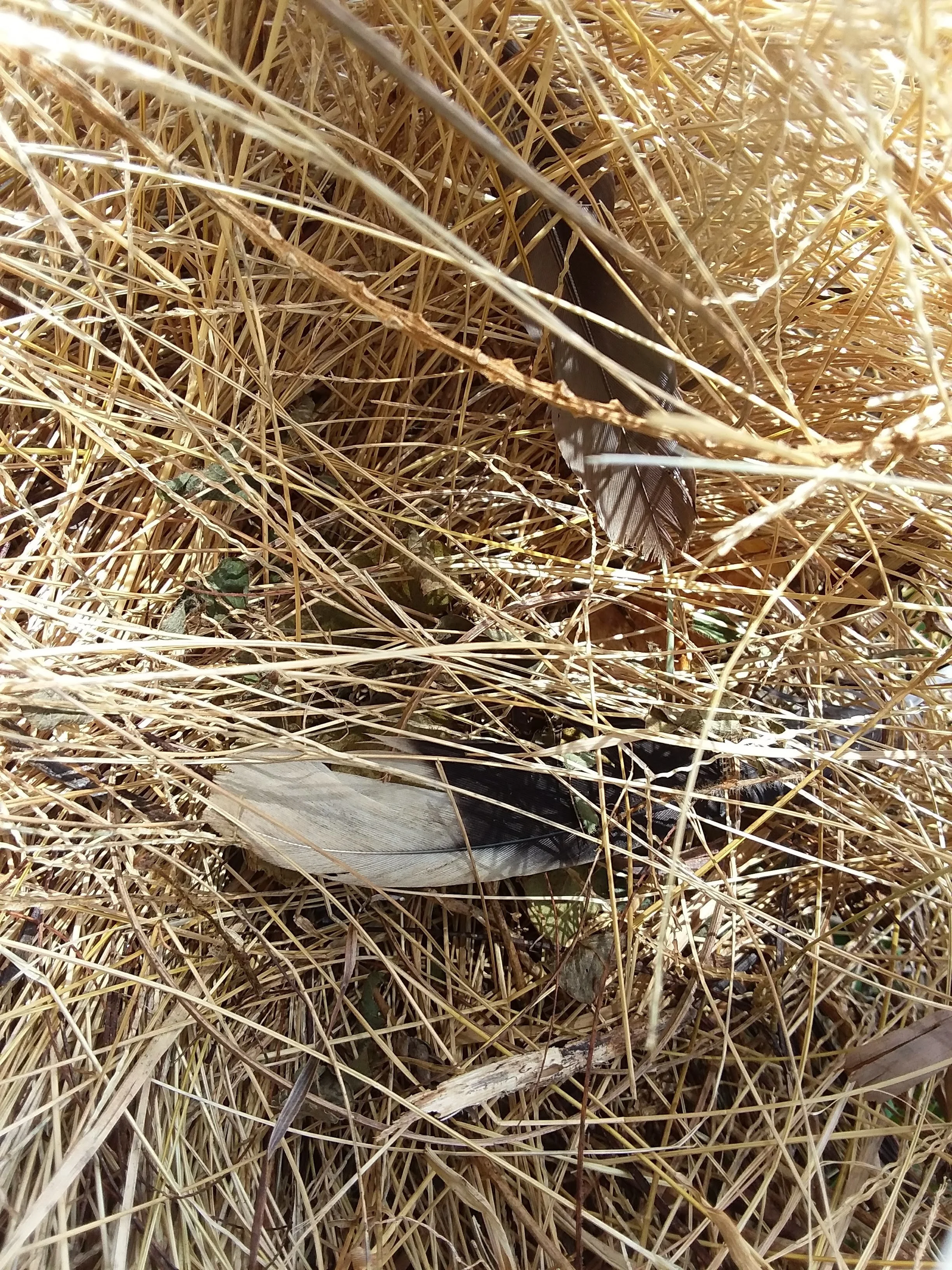 20180710_121101.jpg