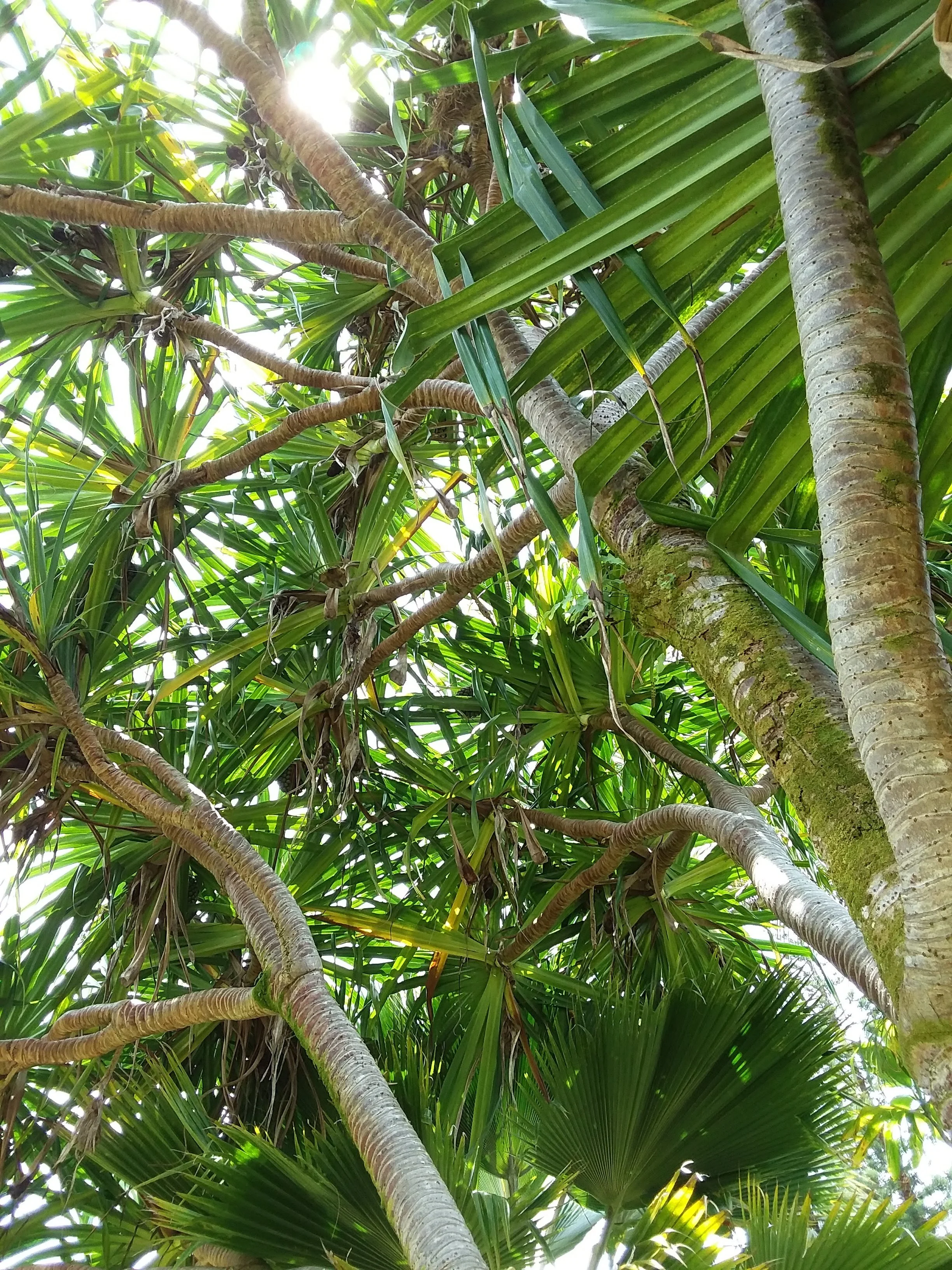 20180710_121148.jpg