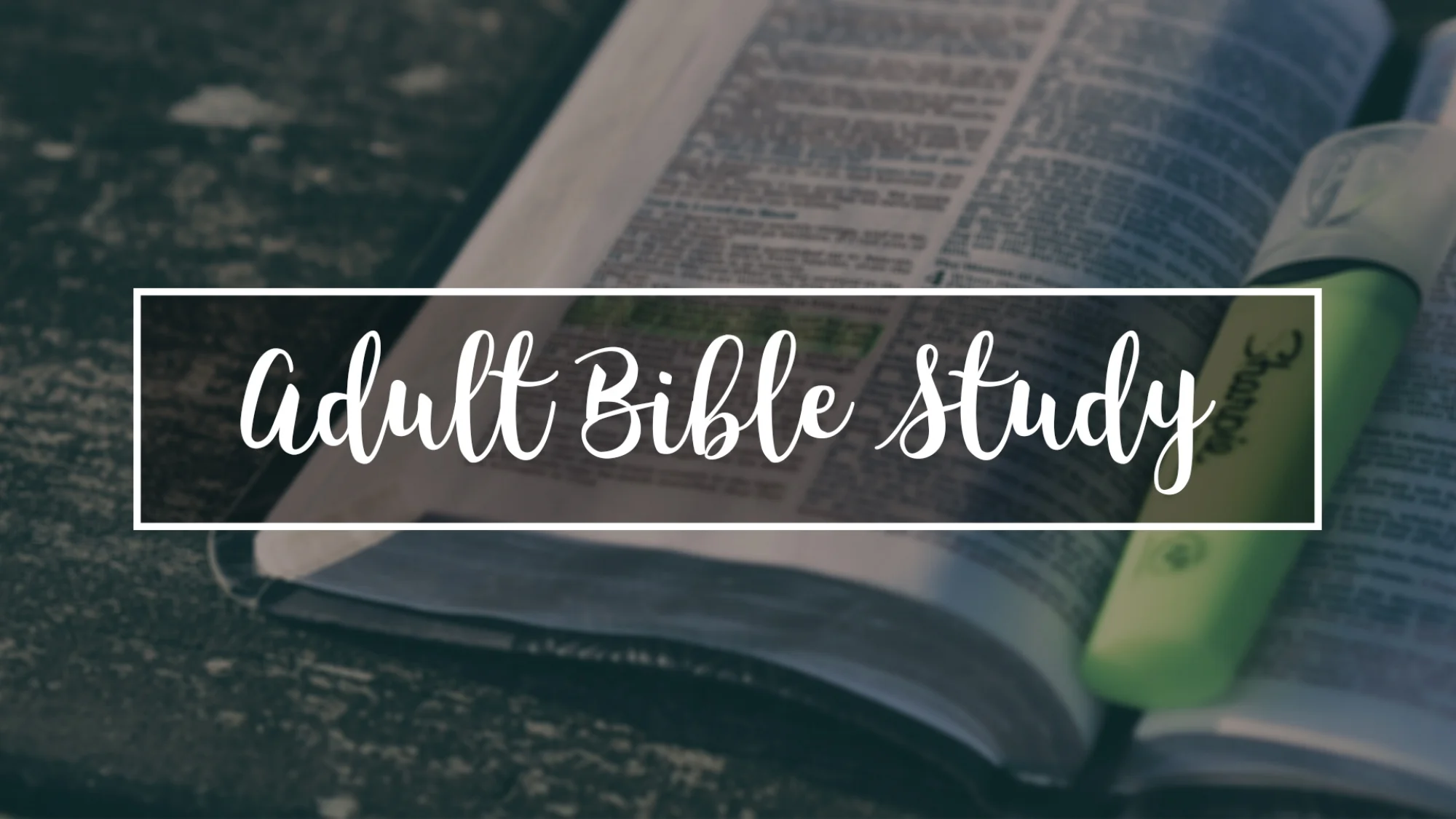 Adult-Bible-Study.jpg