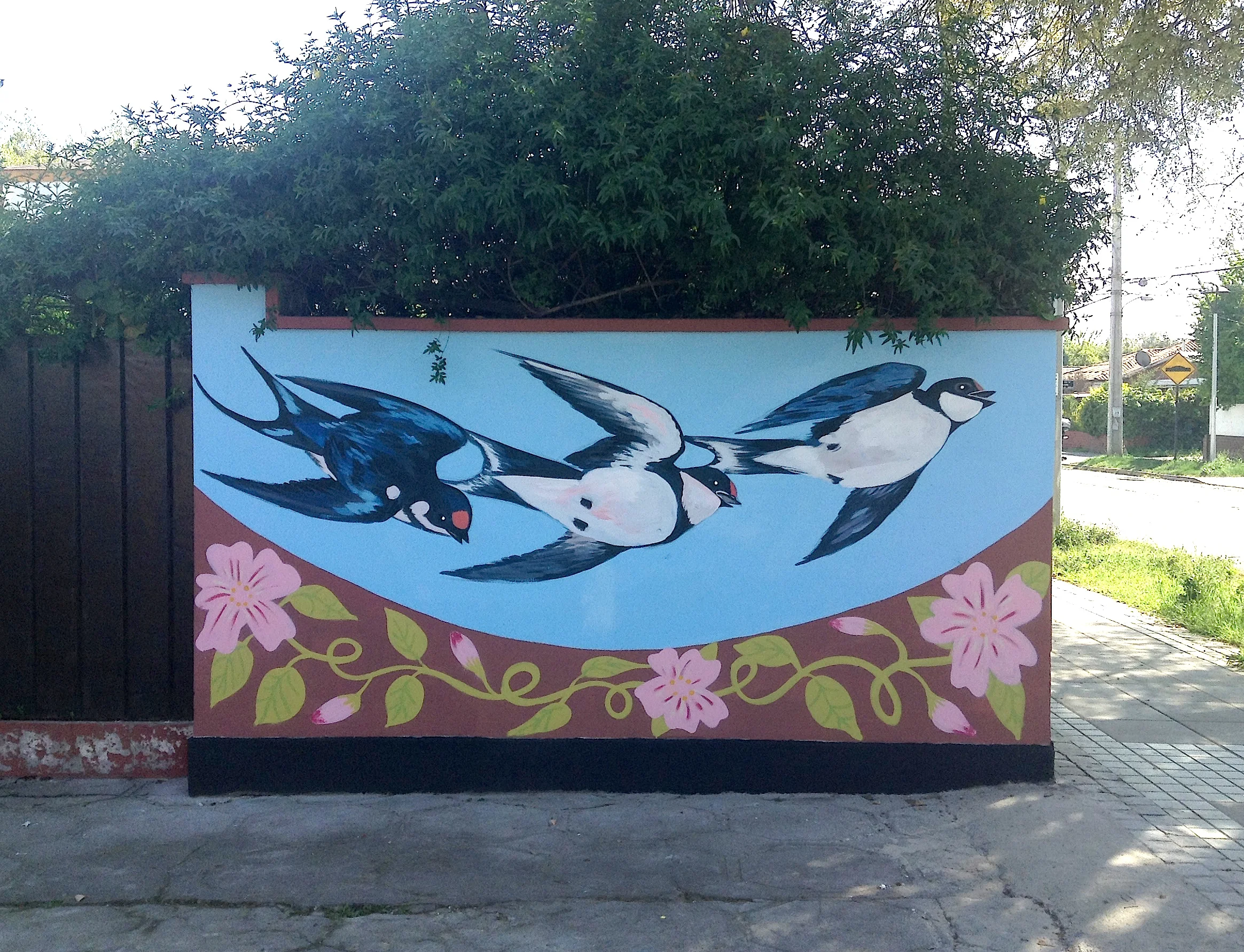 "Golondrinas" (Swallows)