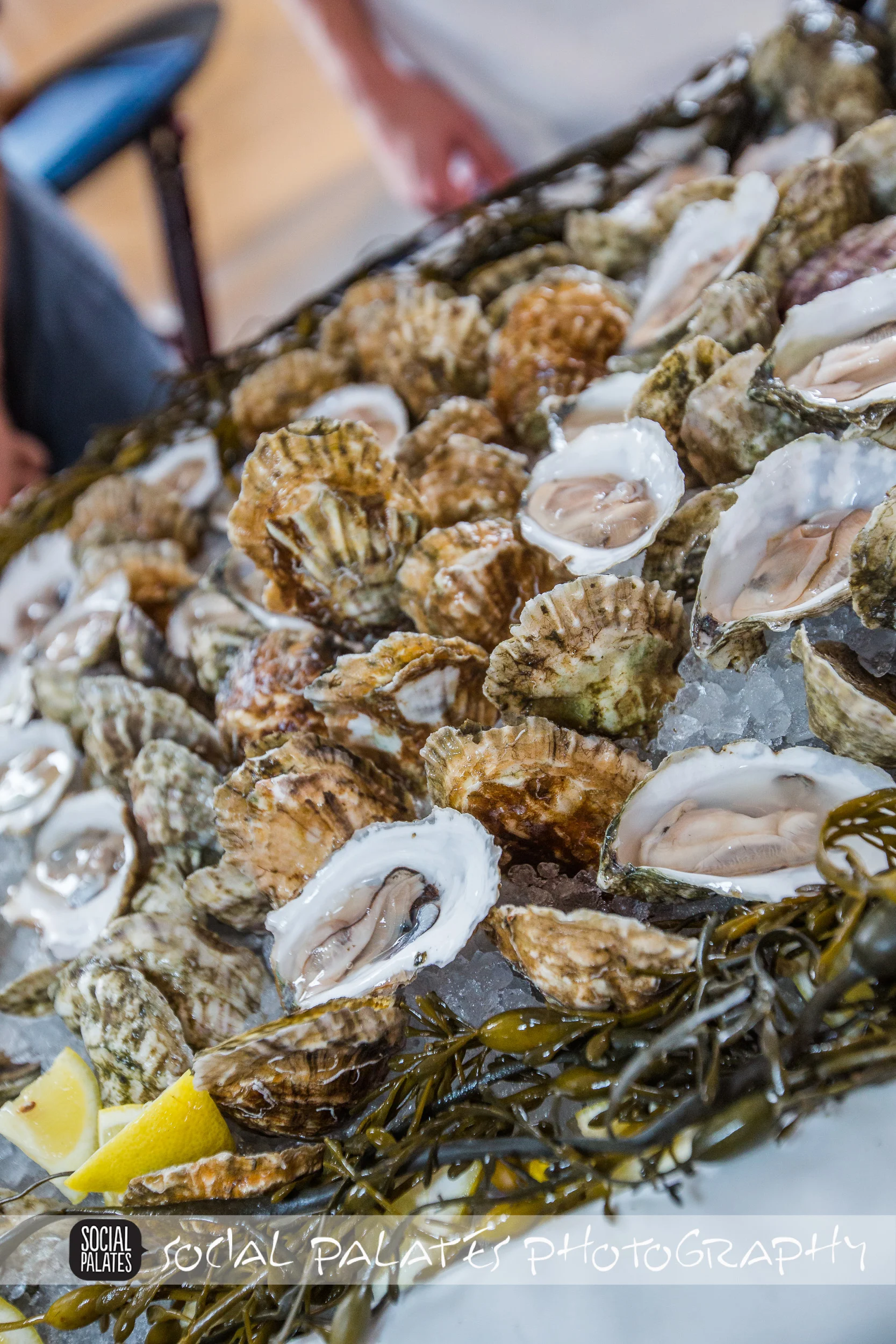 Taste_of_the_gables_2014-4652.jpg