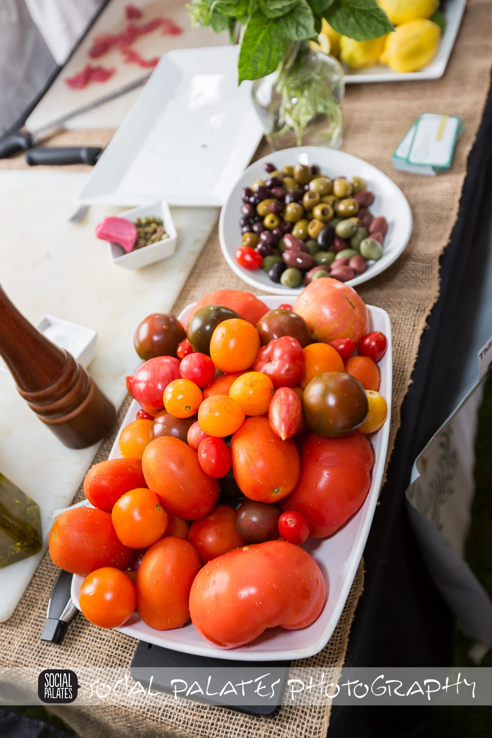 Taste_of_the_gables_2014-4680.jpg