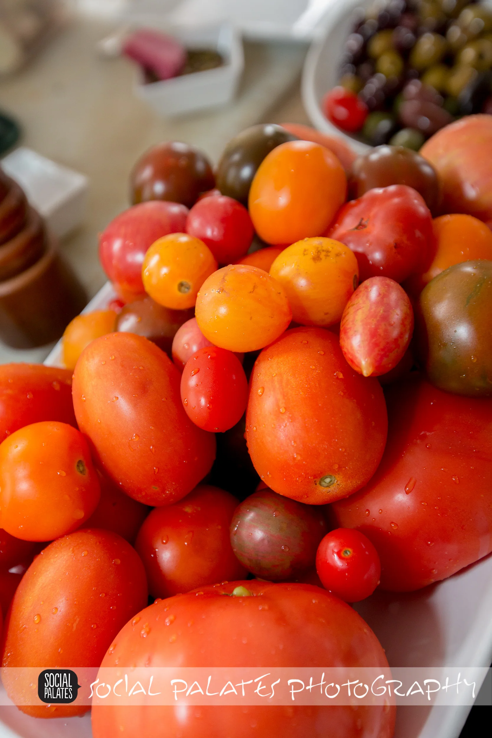 Taste_of_the_gables_2014-4683.jpg