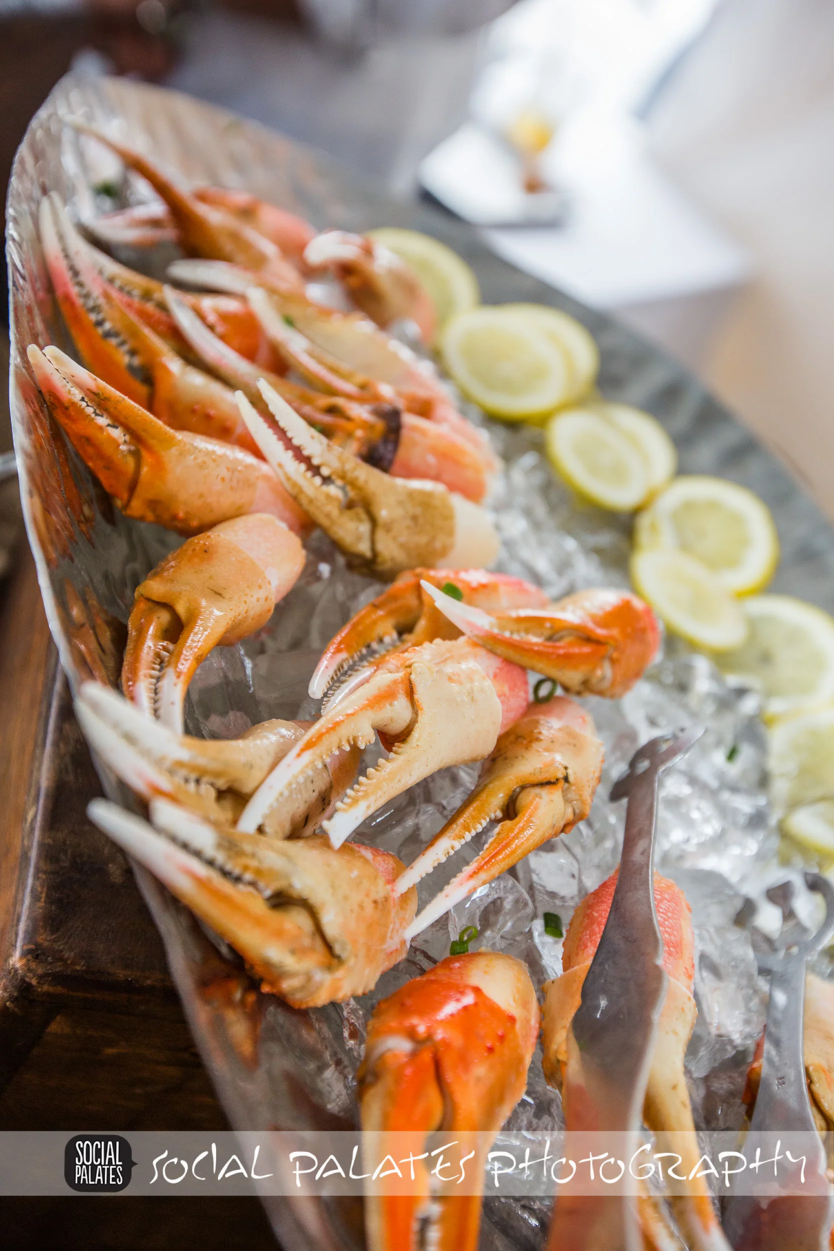 Taste_of_the_gables_2014-4753.jpg