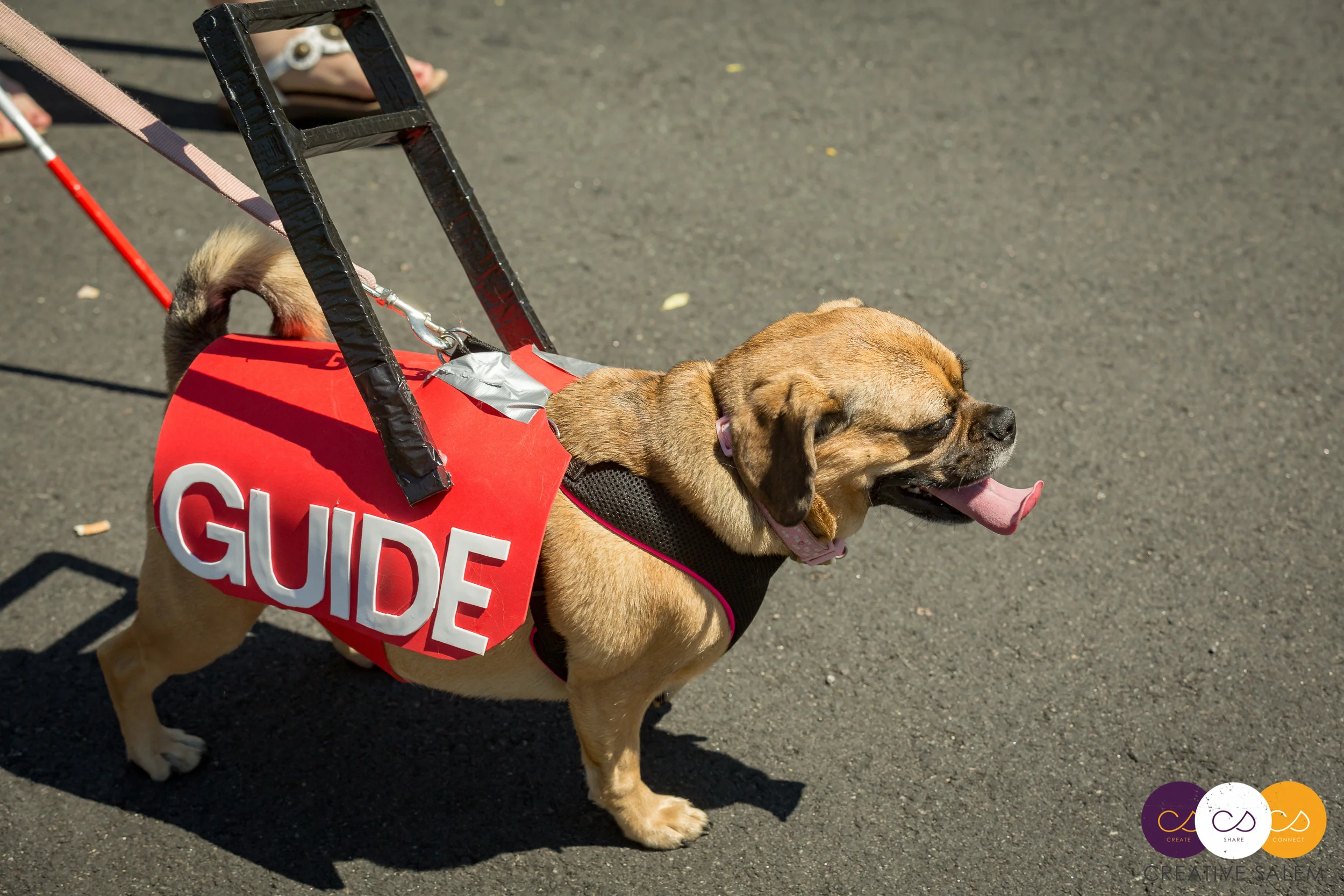 Salem Willows Horribles parade 2016-0637.jpg