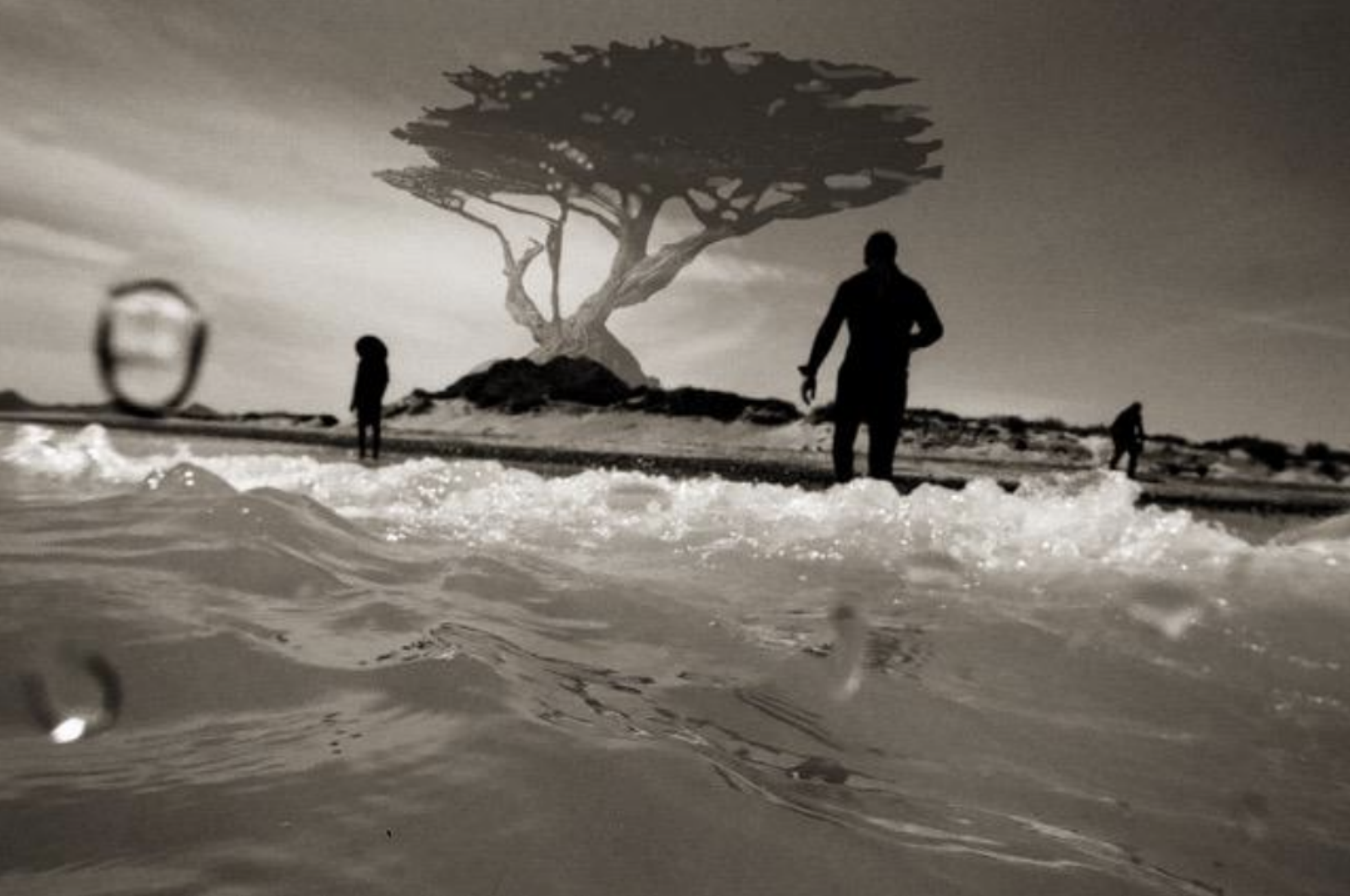 Screen Shot 2019-01-21 at 3.40.37 PM.png