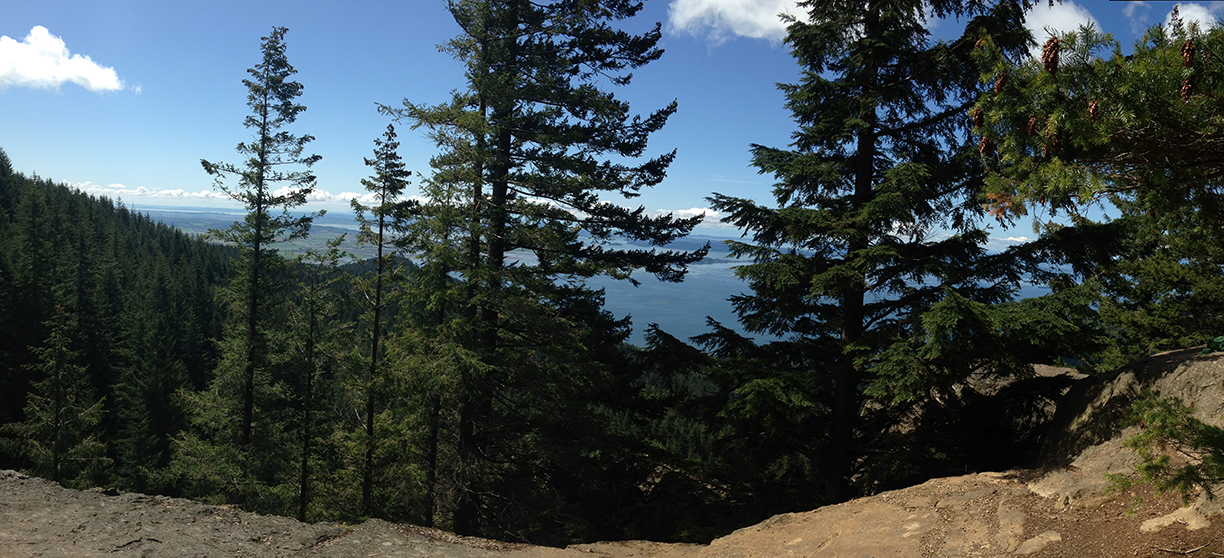 View from Oyster Dome, WA.